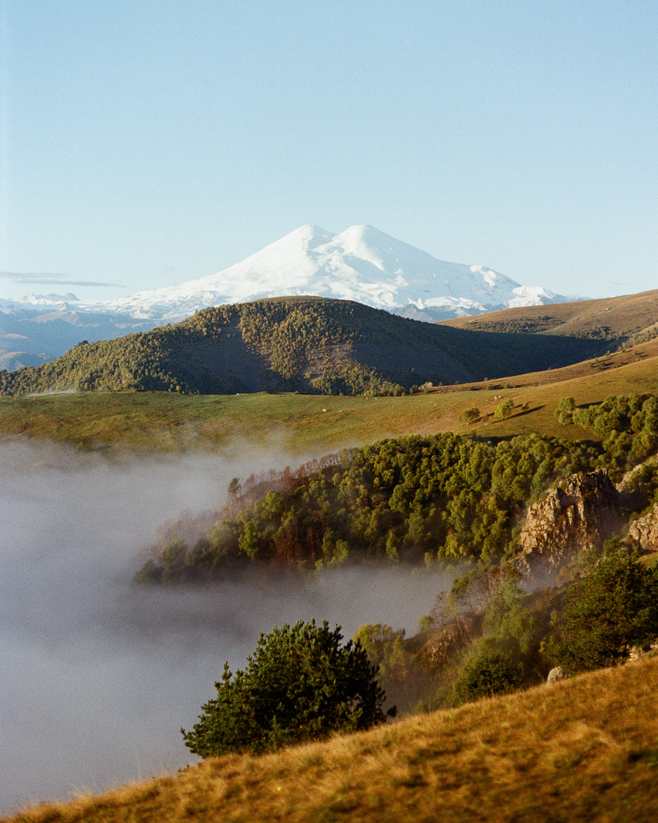 Пленочная фотография. Фотограф в Ростове-на-Дону