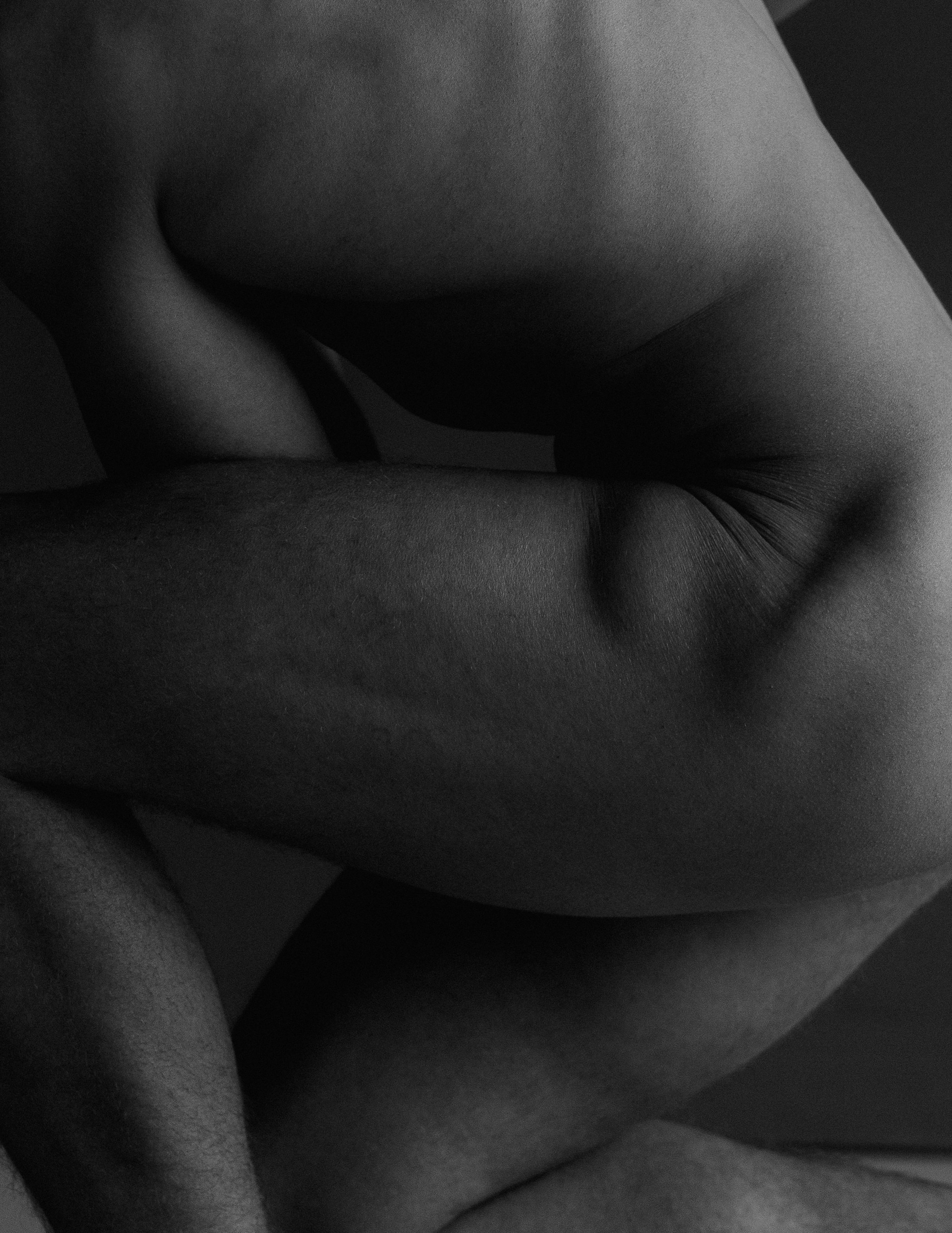 Прайс. Фотограф Москва