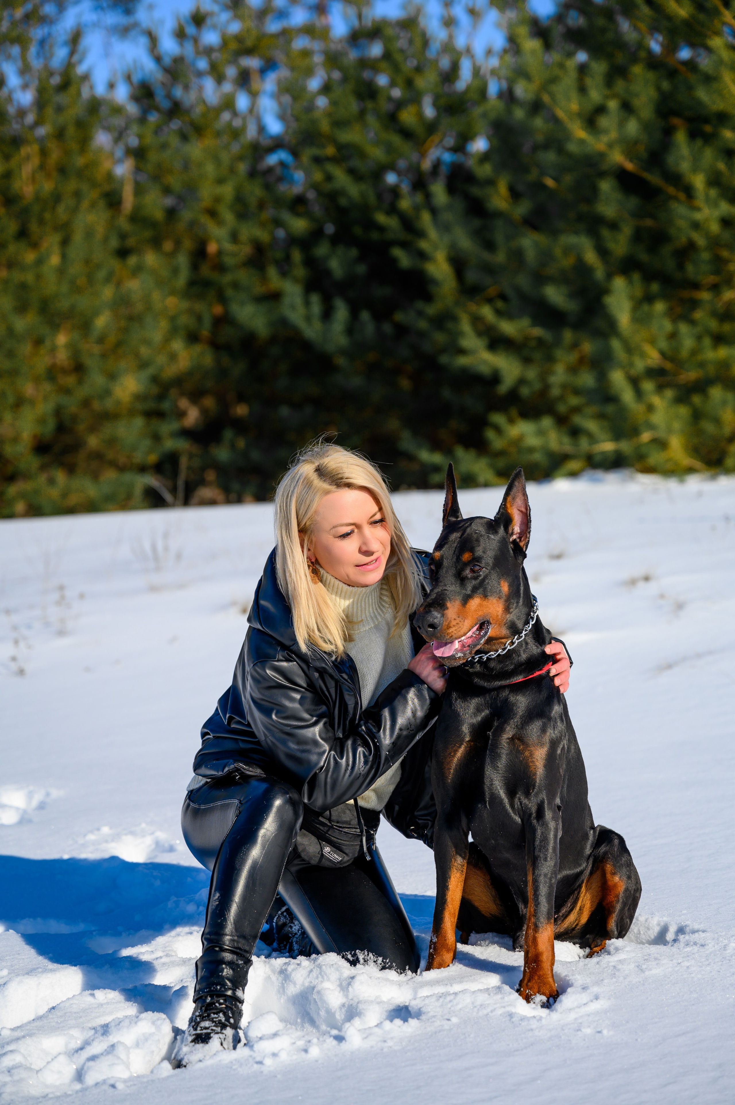 Доберман Рэн. Bazarkom-photo.ru Фотограф Виктор Оськин в Старом Осколе