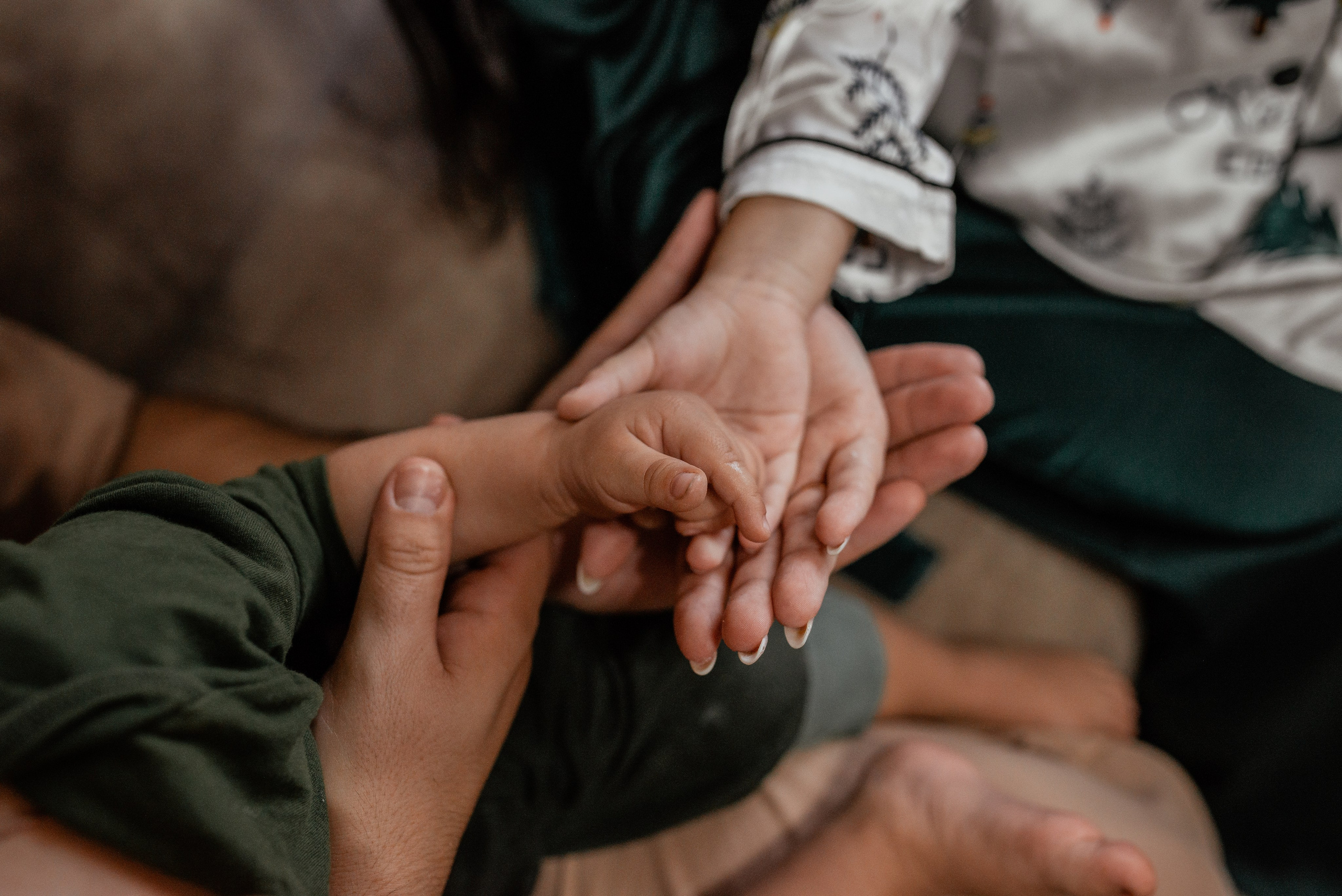 Домашняя новогодняя. Галина Чекунова Фотограф в Ростове-на-Дону