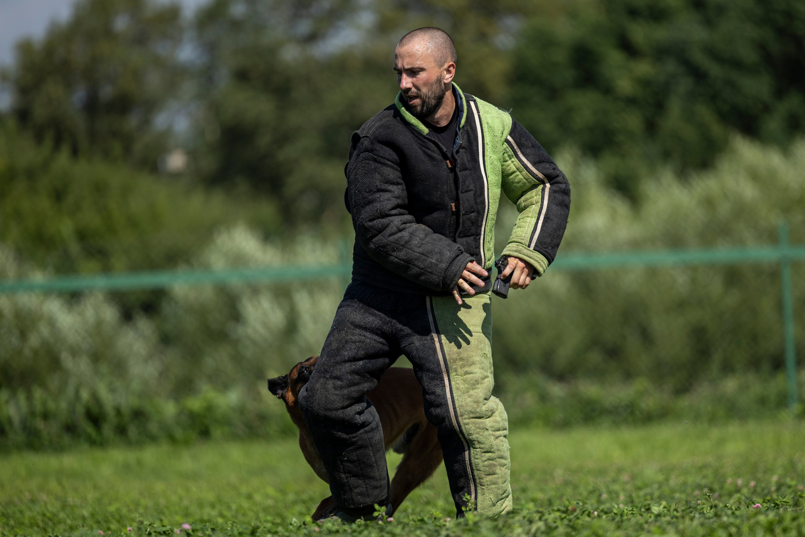 Соревнования по Мондьорингу г. Вологда 10-11.08.2024. Фотограф-анималист Анна Маринич