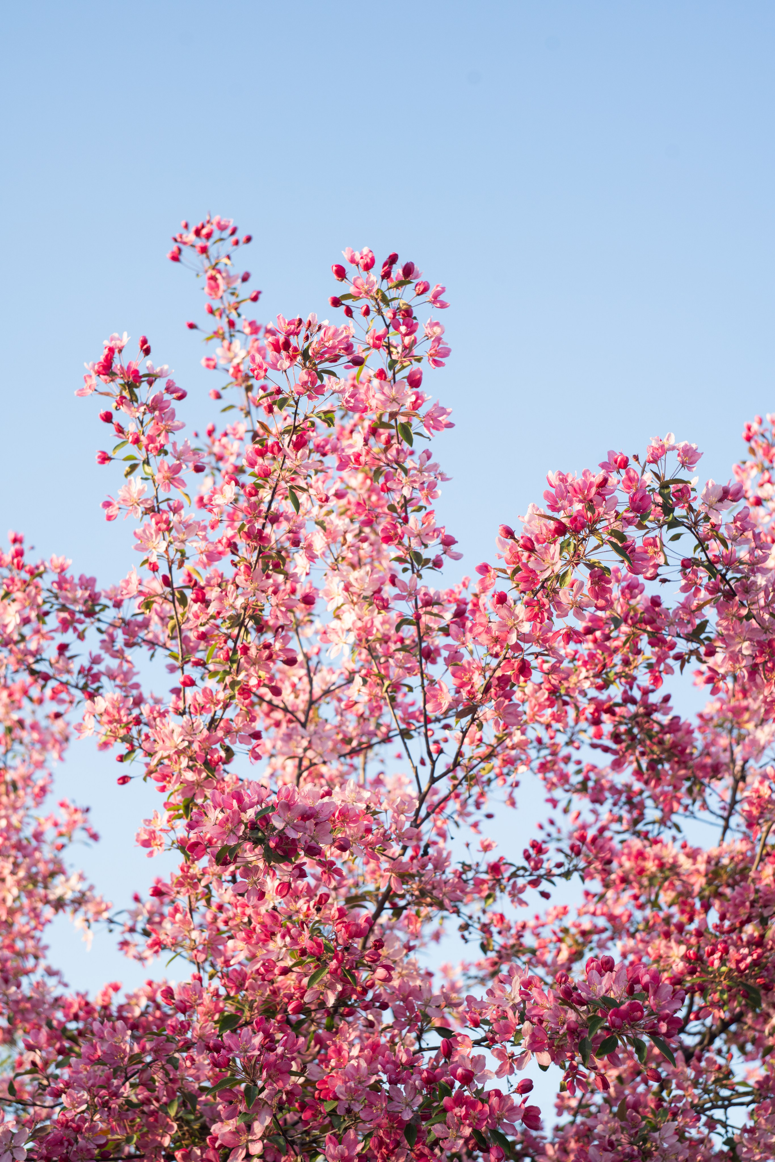 Настя весной. Елена Осадчая — фотографирую музыку на сцене и в жизни