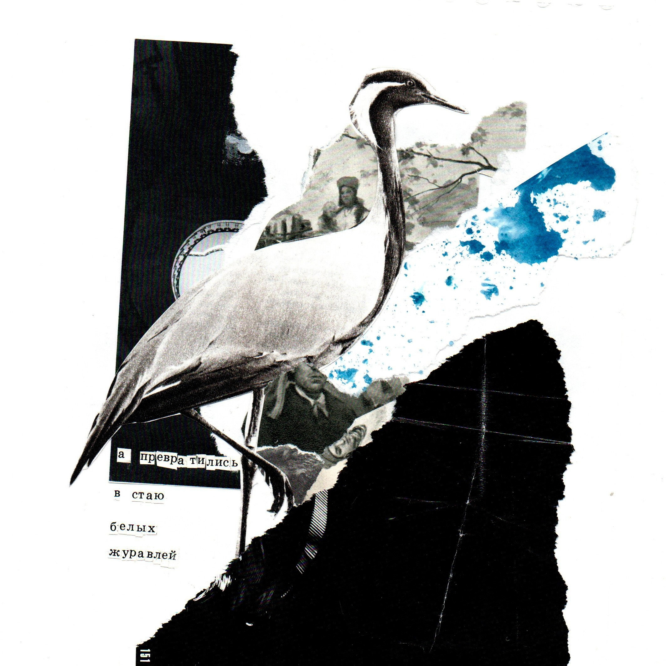 Коллажный дневник. Фотограф Анна Кирнос