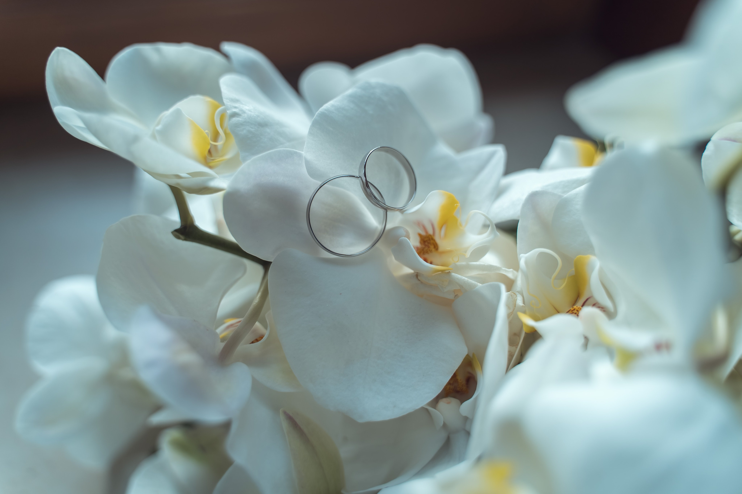 Марат и Ригина