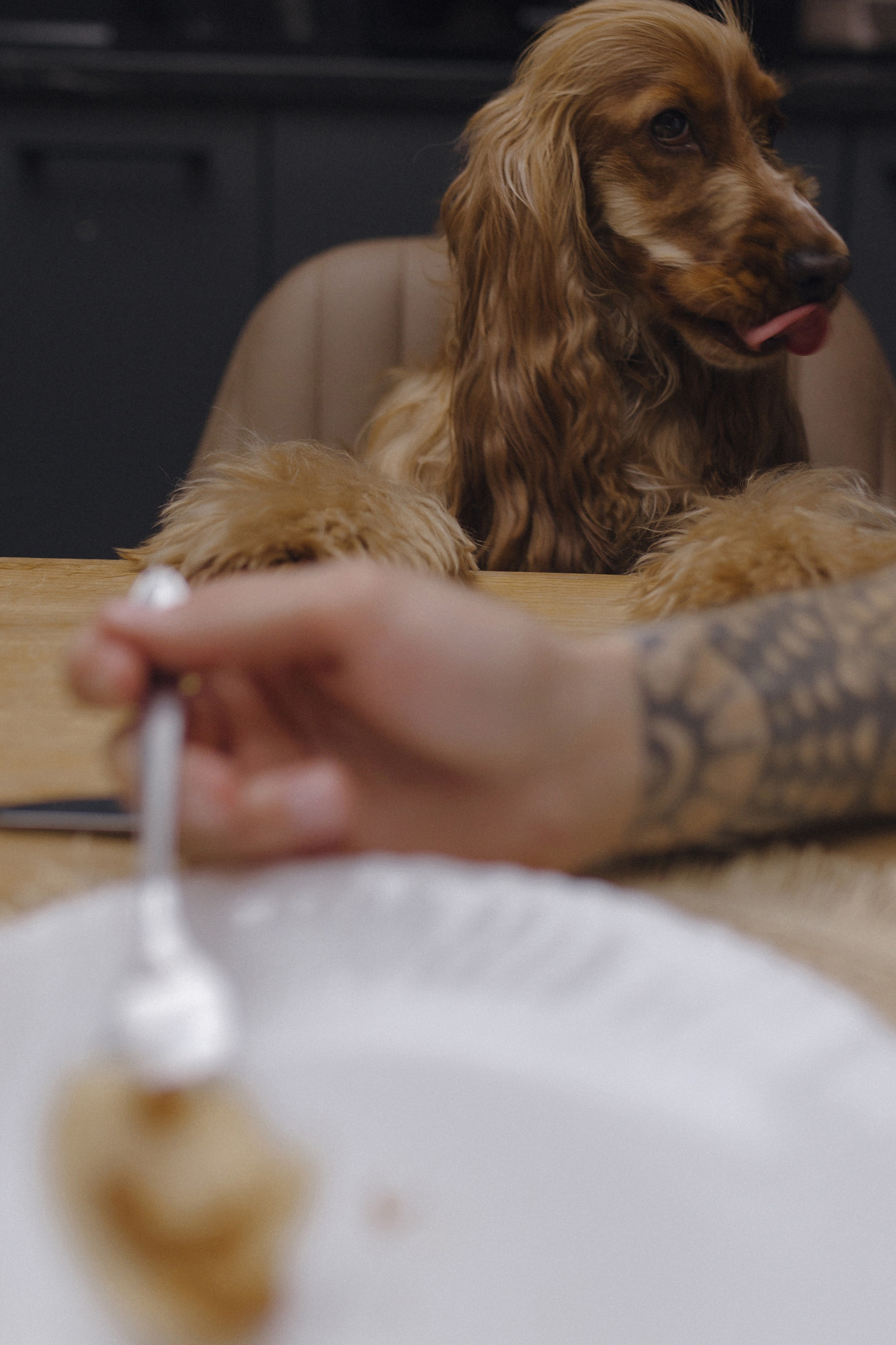 Трое и Любовь