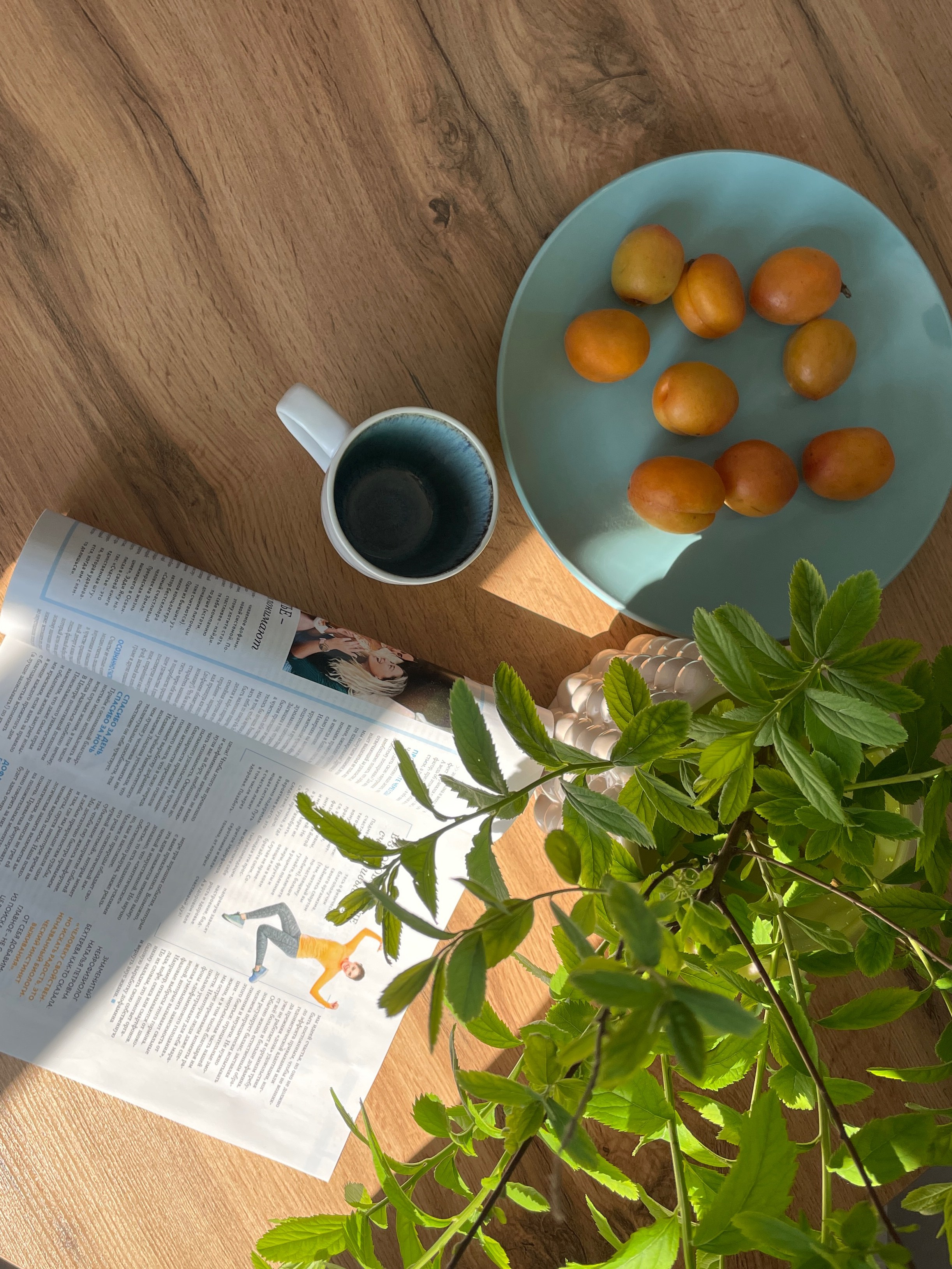 Комплектация / интерьерная съемка со стилизацией / АРЕНДА. Хоумстейджер. Комплектатор. Дизайнер