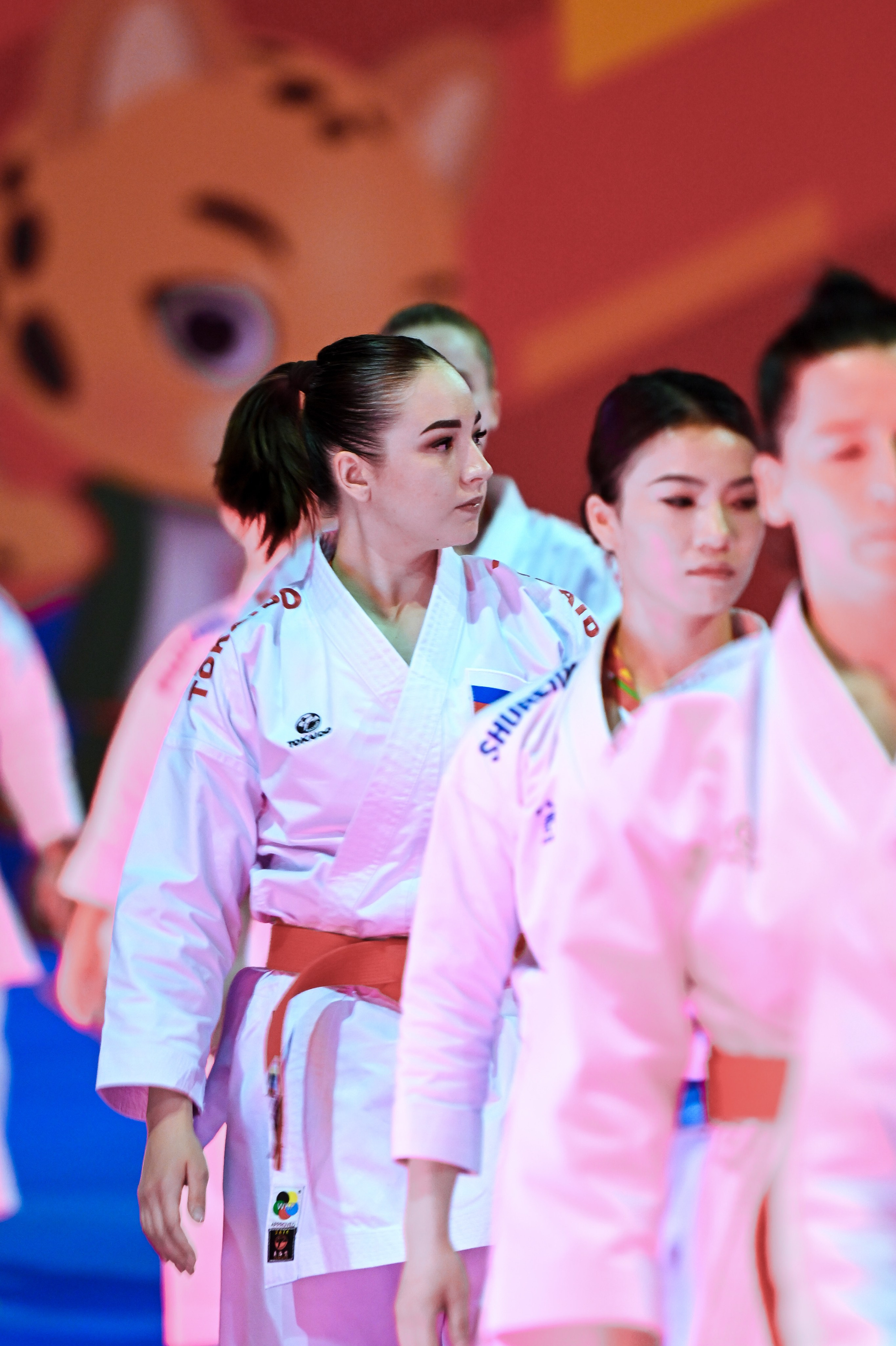 Каратэ «Спортивные игры стран БРИКС». Спортивный и репортажный фотограф в Казани Вячеслав Сатонин