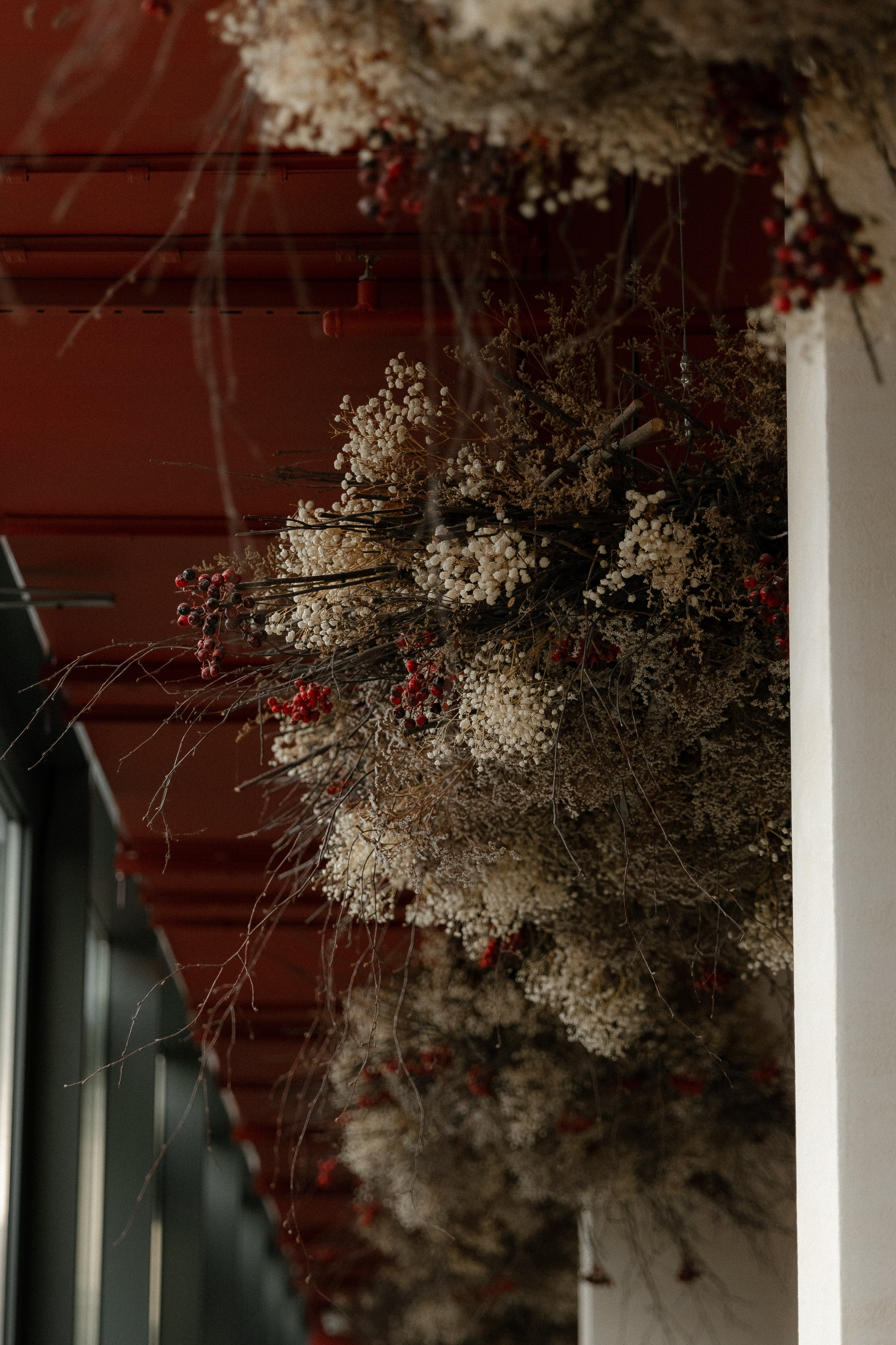 Мы и Федя. Свадебный фотограф Ярославль, Рыбинск