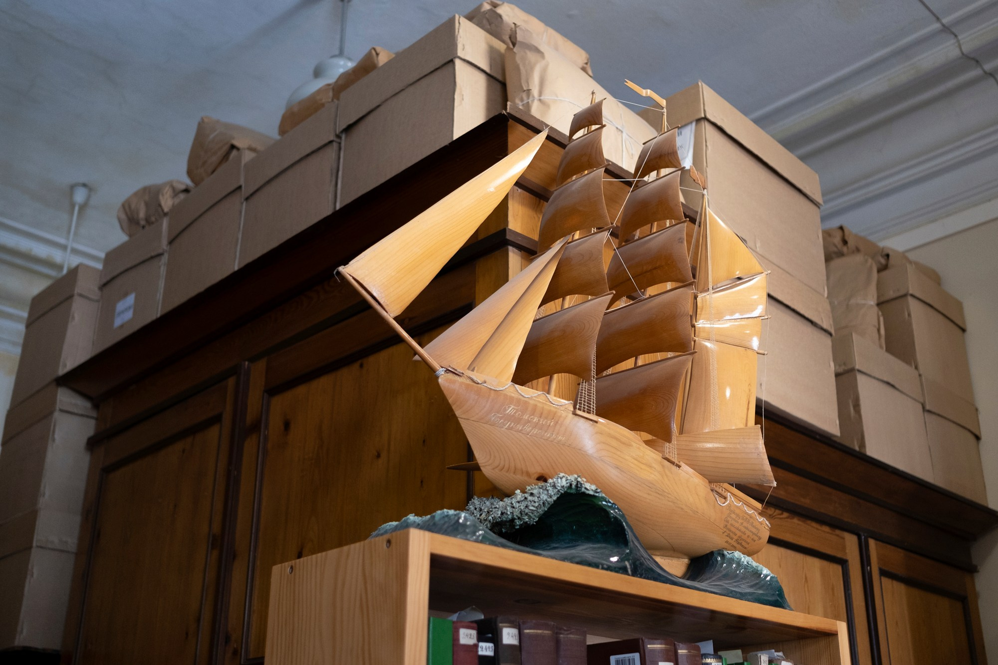 Гербарий ТГУ, herbarium