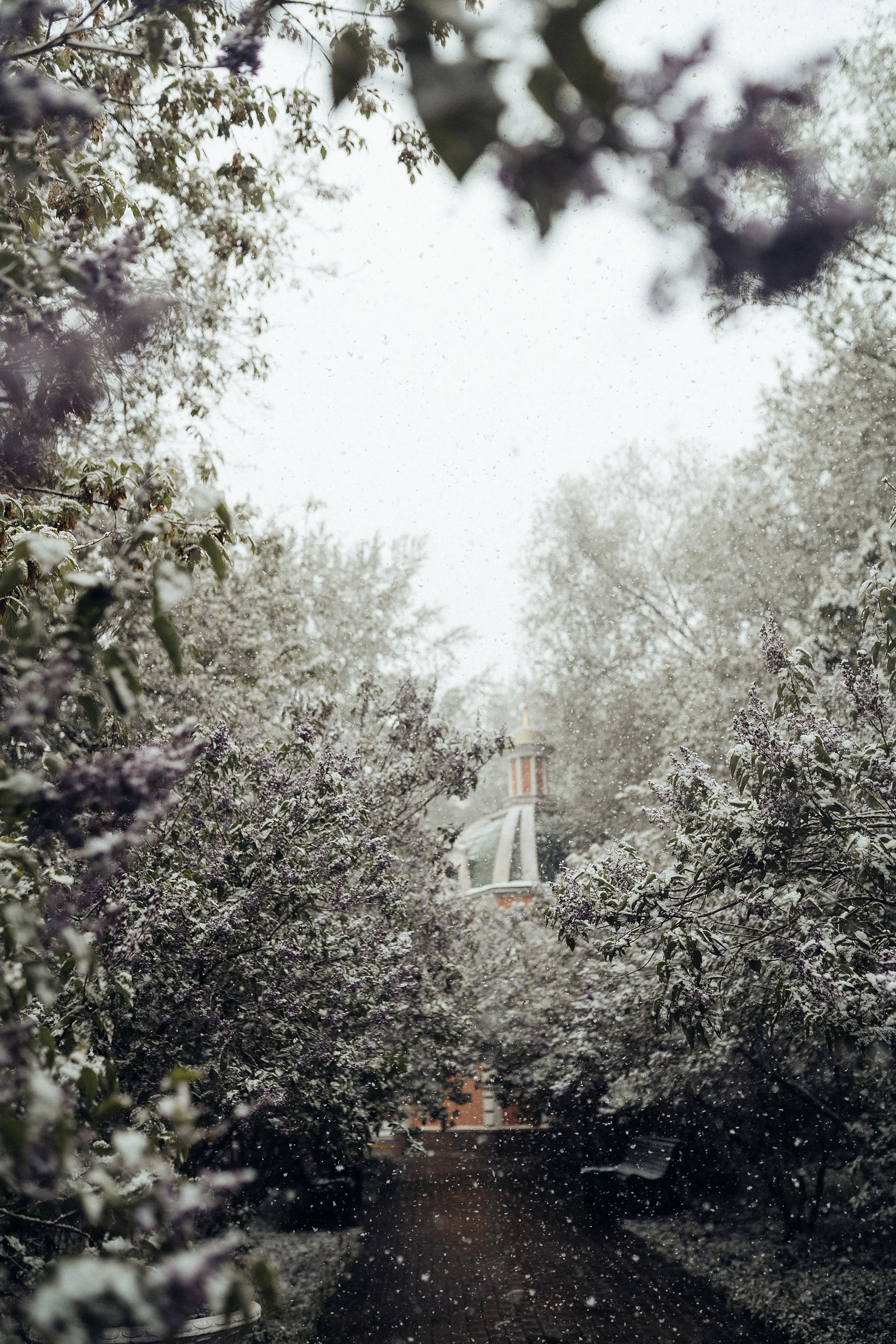 Москва. Фотограф Екатерина Катунова | Москва