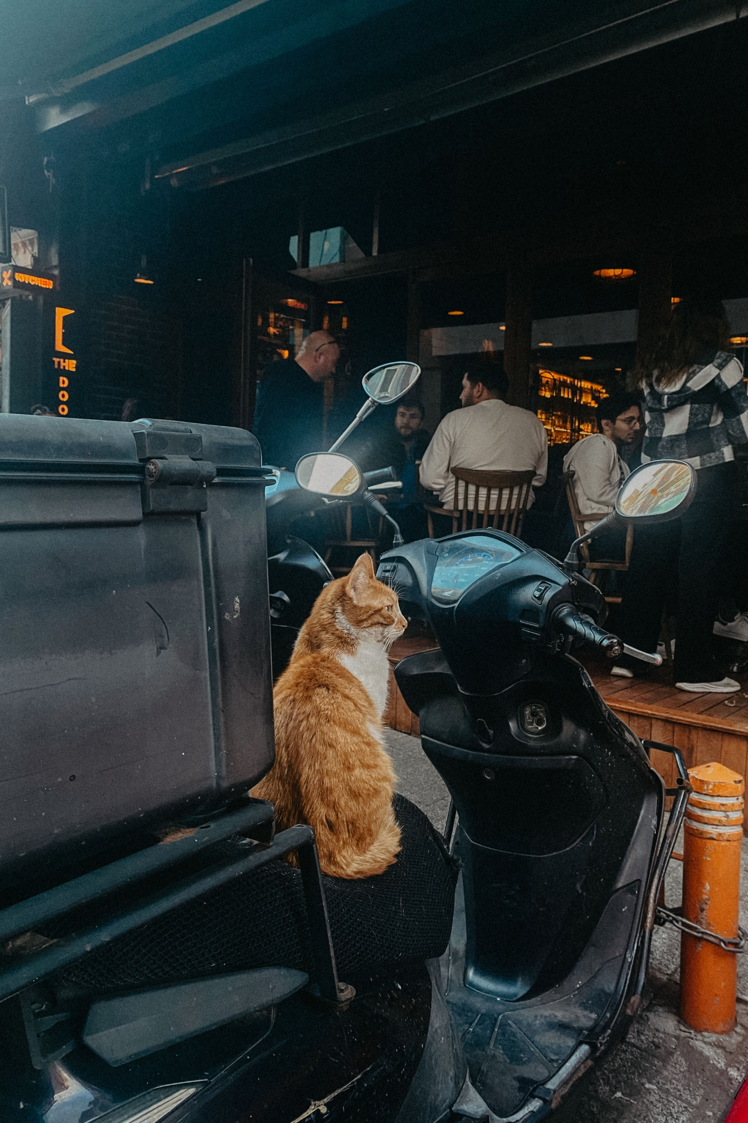 Стамбул. Фотограф Тбилиси Саша Мороз