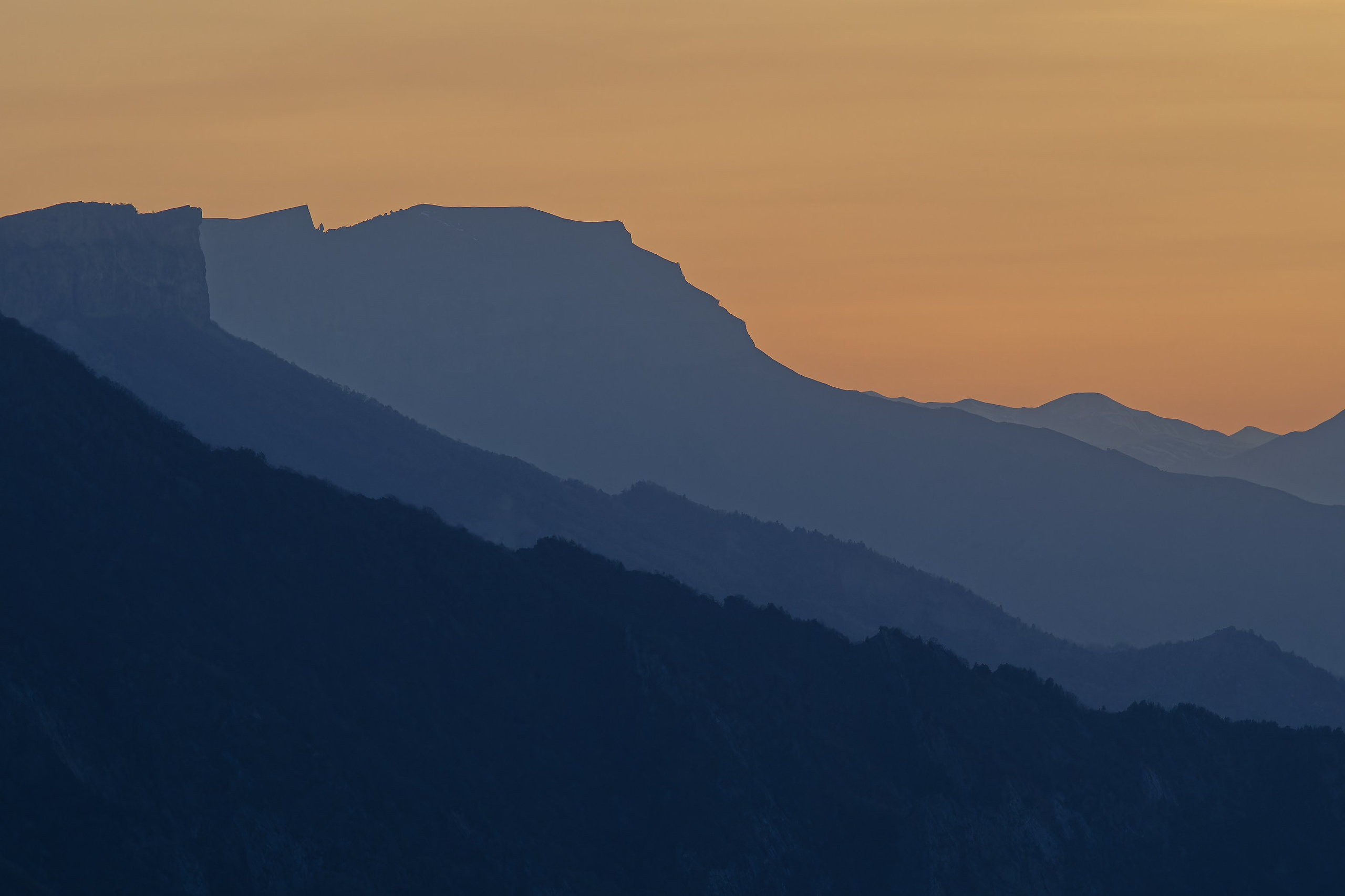 Жизнь в движении. Я.Камера.Спорт