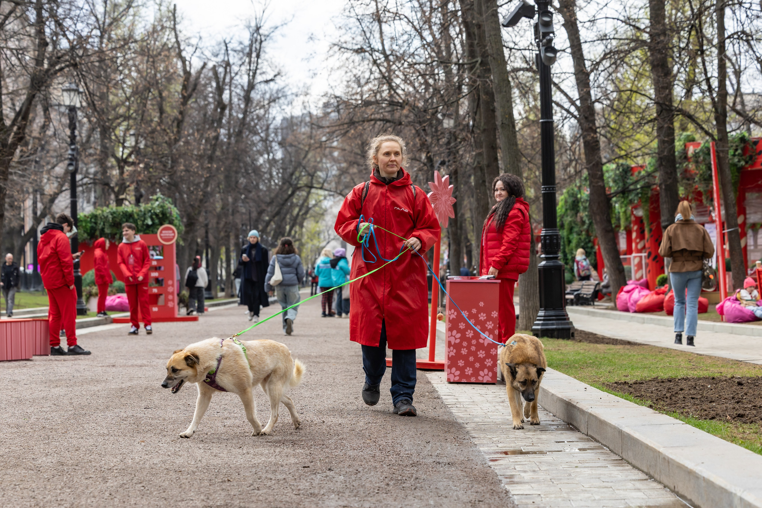 Проект «Моспитомец» на Тверском бульваре. Фотограф Владимир Охрименко