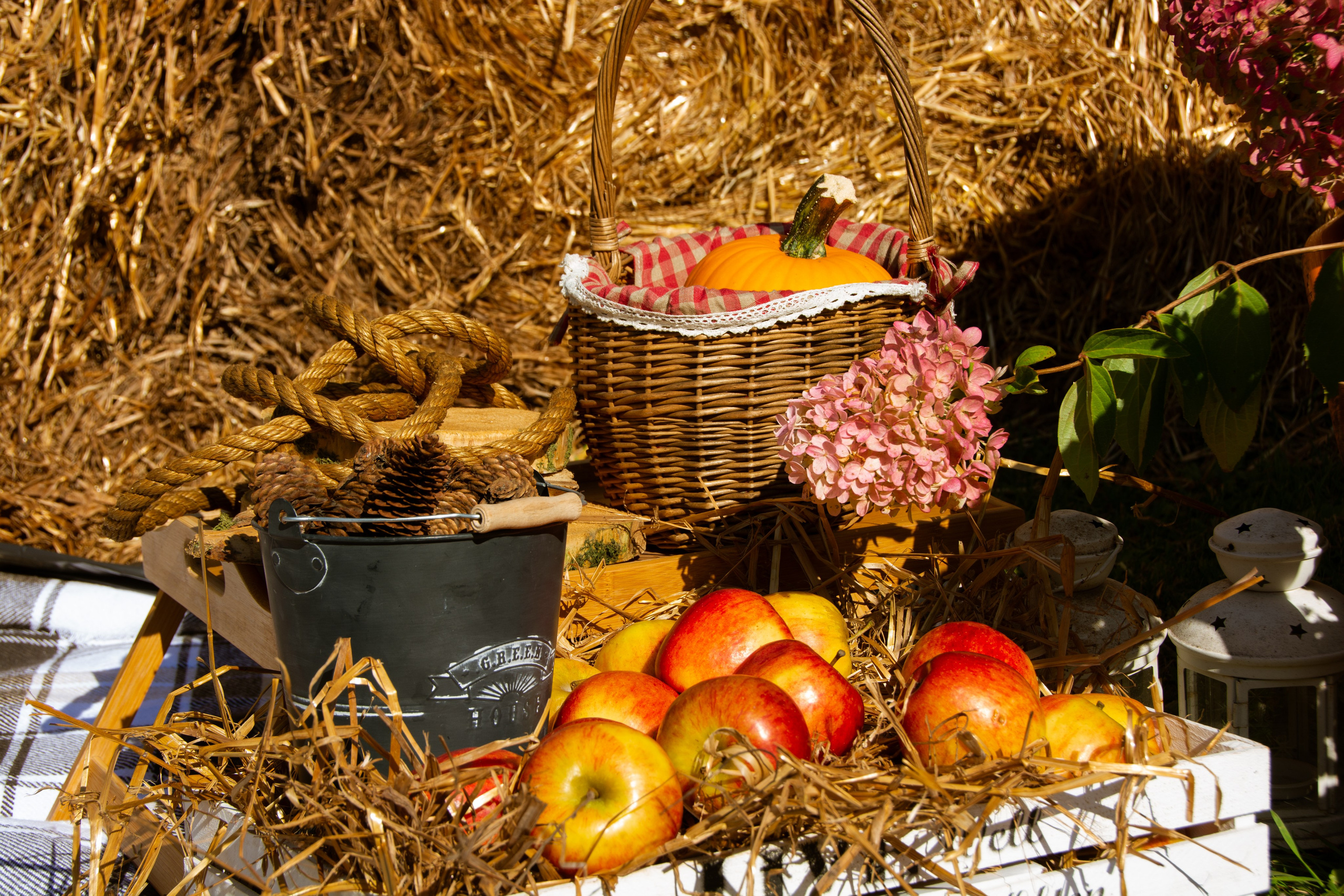 Цветник. закрытие сезона. Семейный и репортажный фотограф в Хабаровске Татьяна Болычева