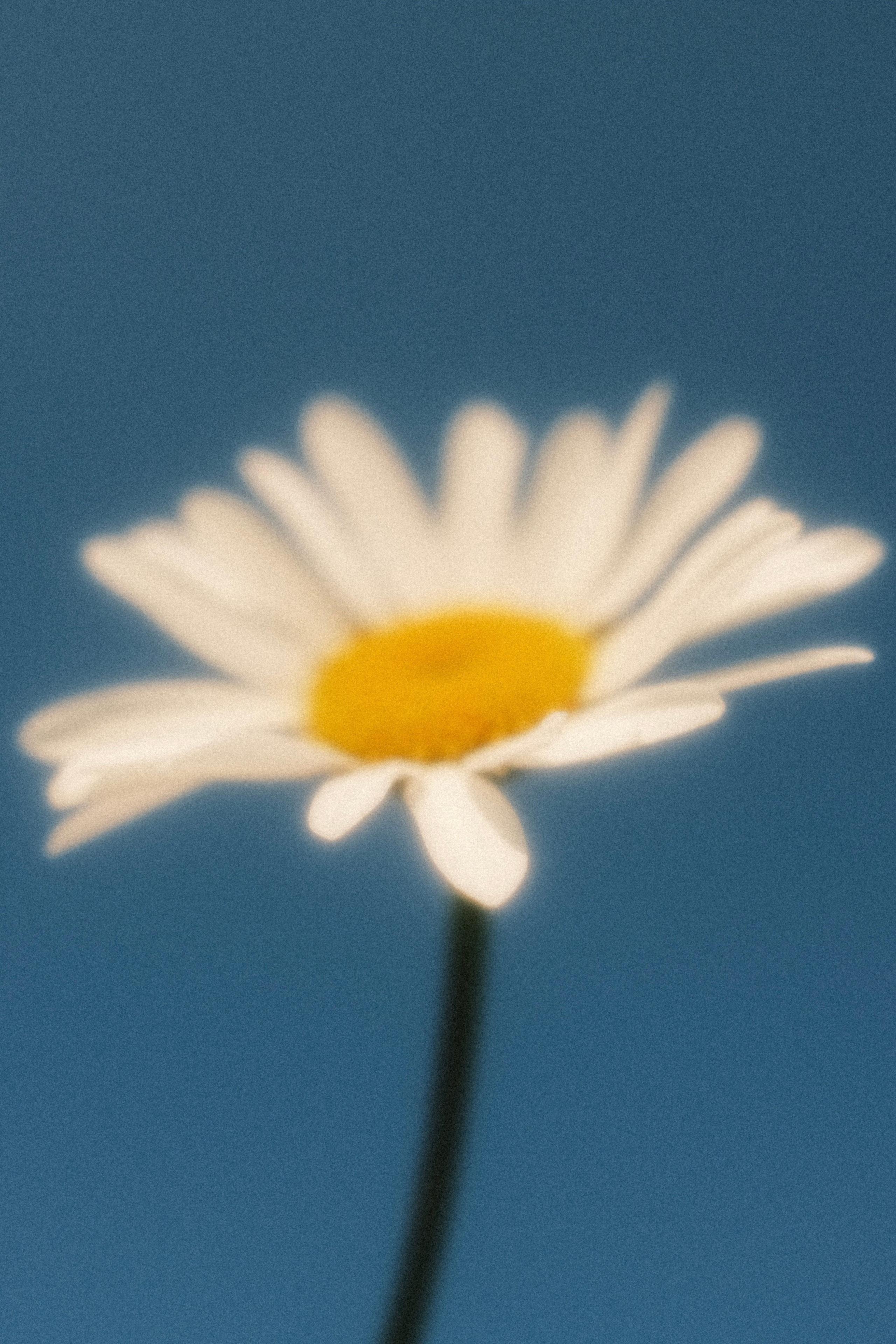 Невесомость. Портретный фотограф