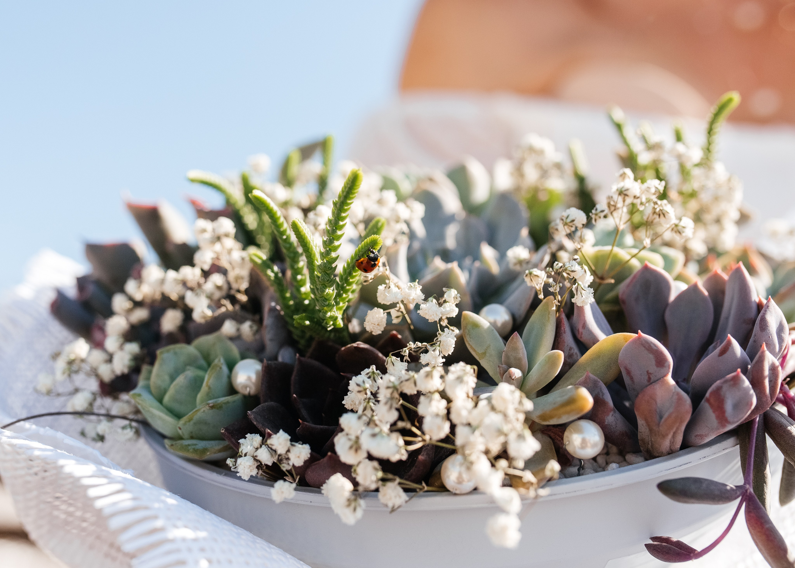 Владислав и Эльвира. Фотограф в Приморско-Ахтарске Марьяна Чопко