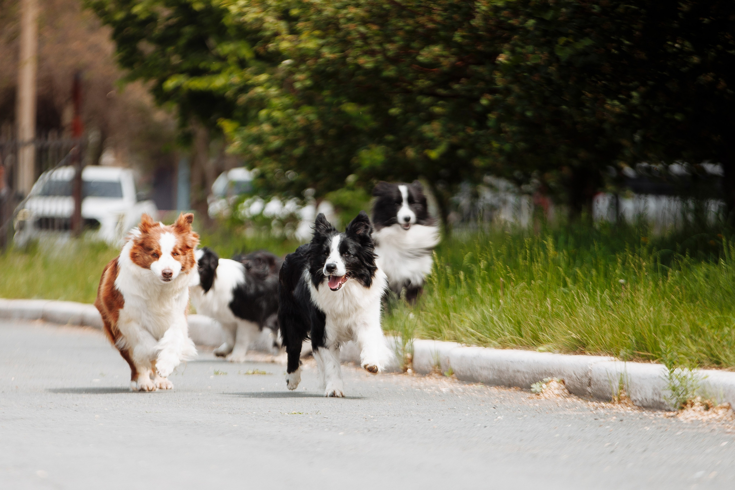 Такой разношерстный Орск 25. О нас