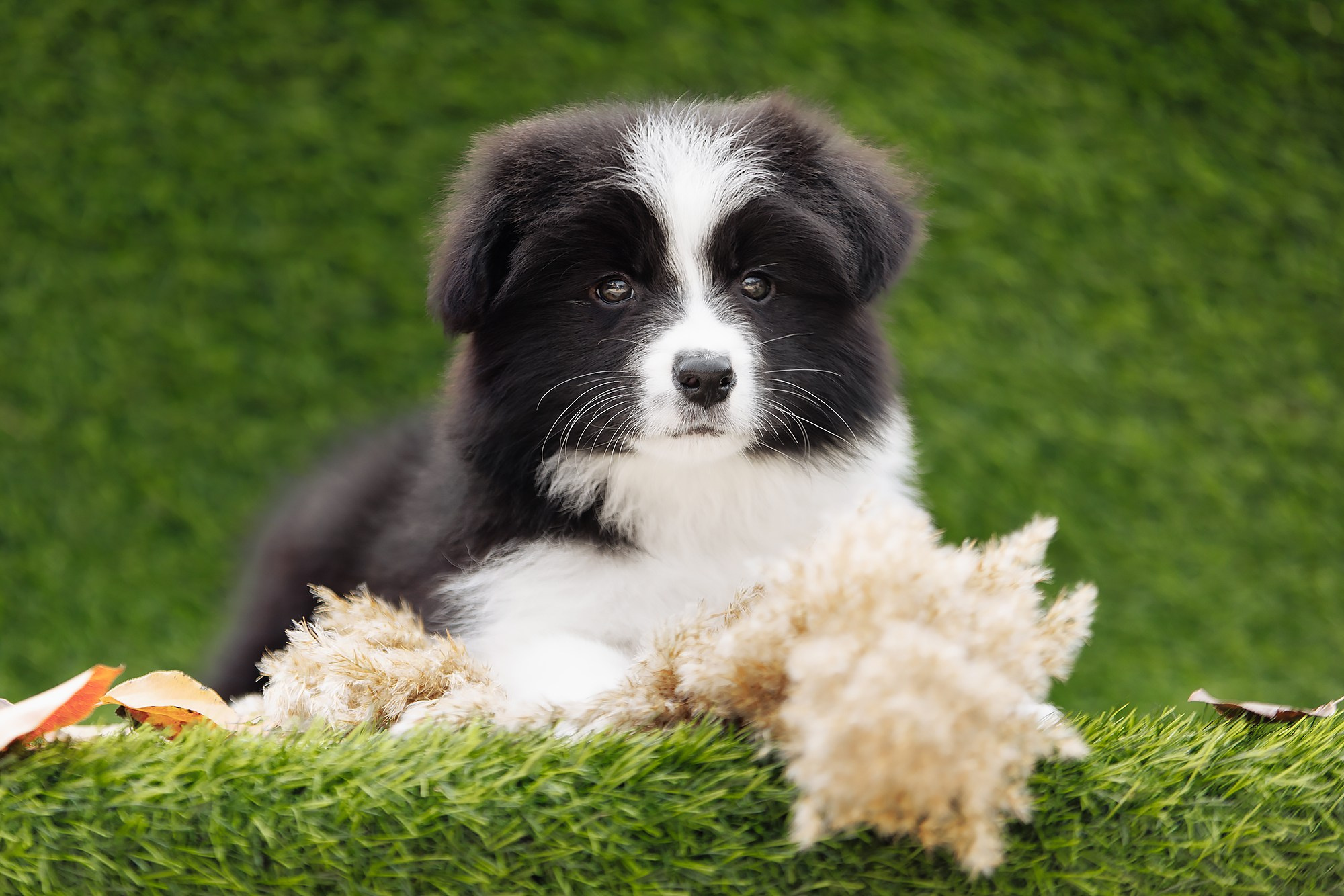 Новый лист. О нас