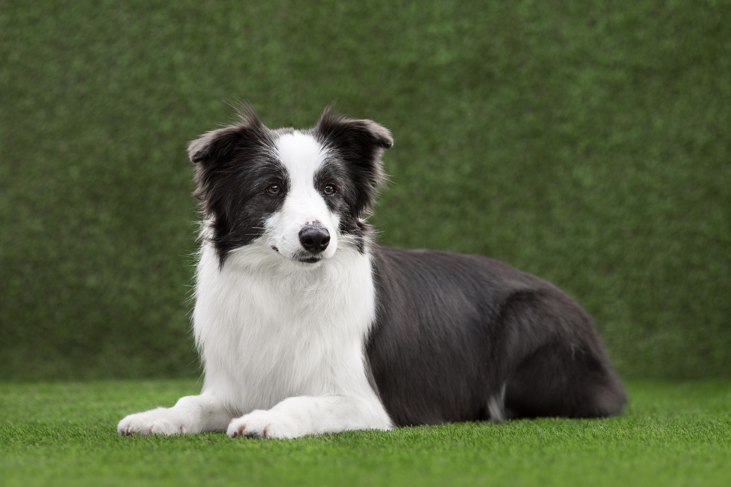 Роскошь в ростошах. О нас