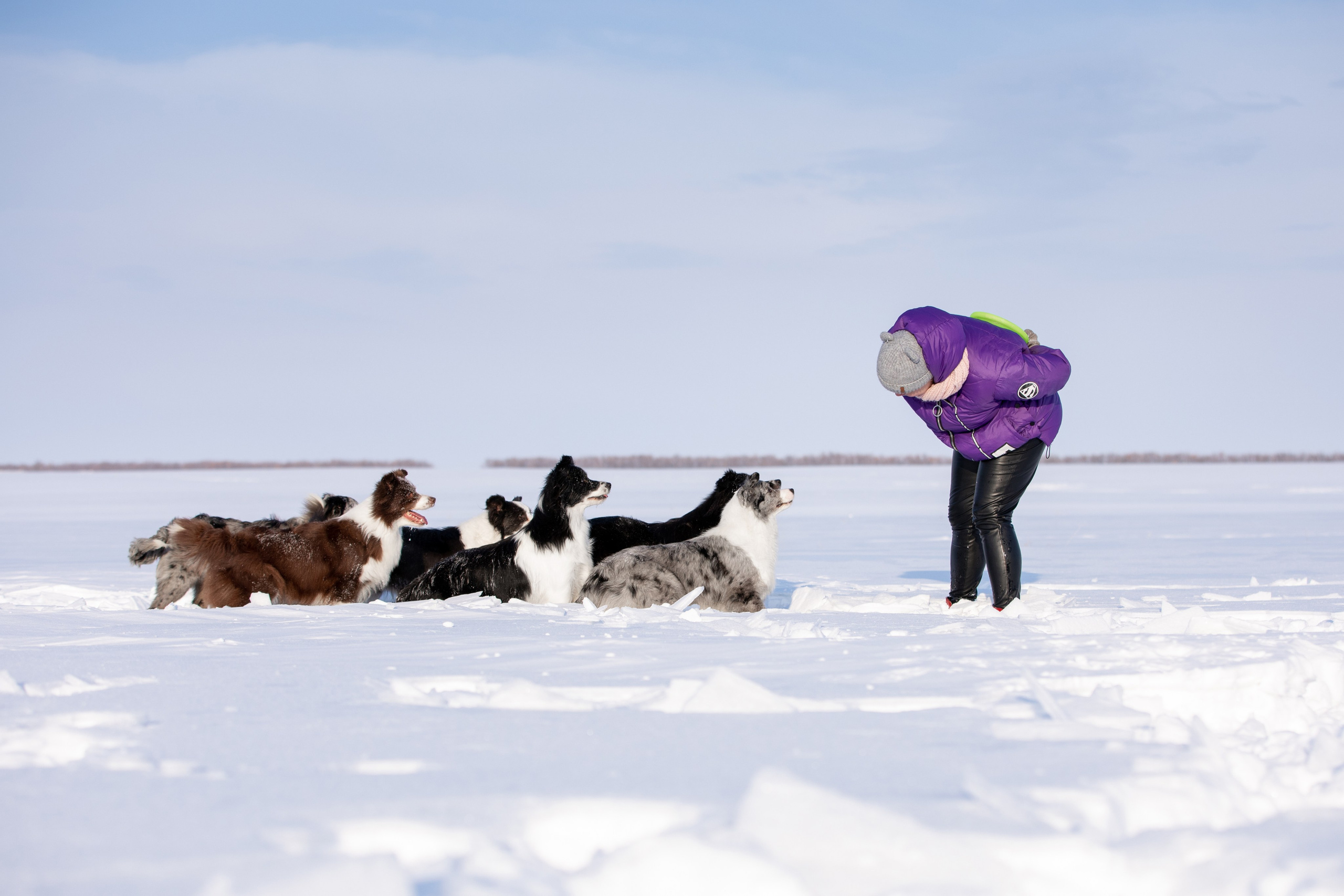 Мороз и солнце. О нас