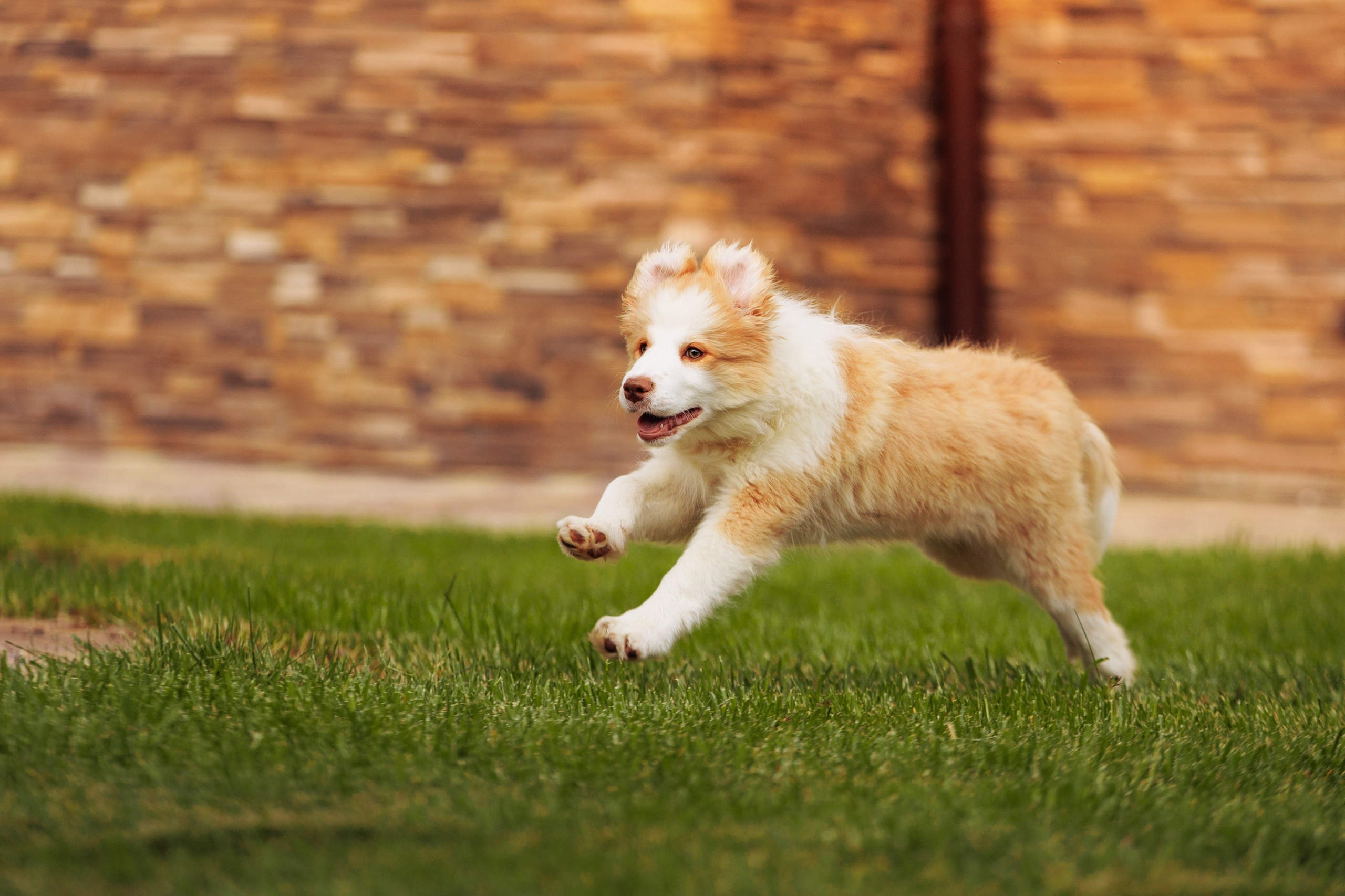 СОлнечные. О нас