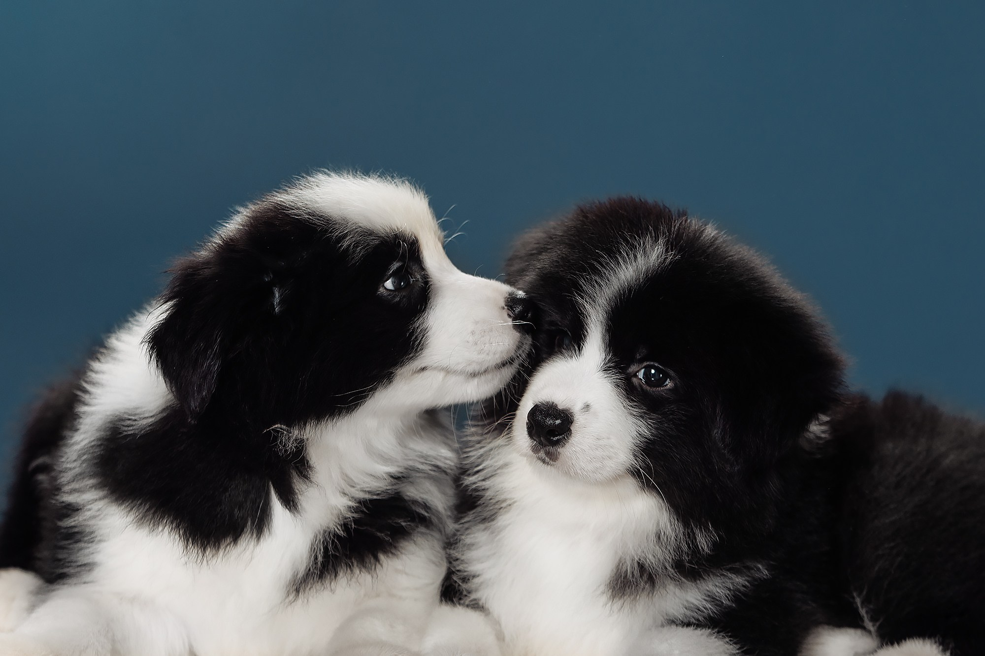 Синева. О нас