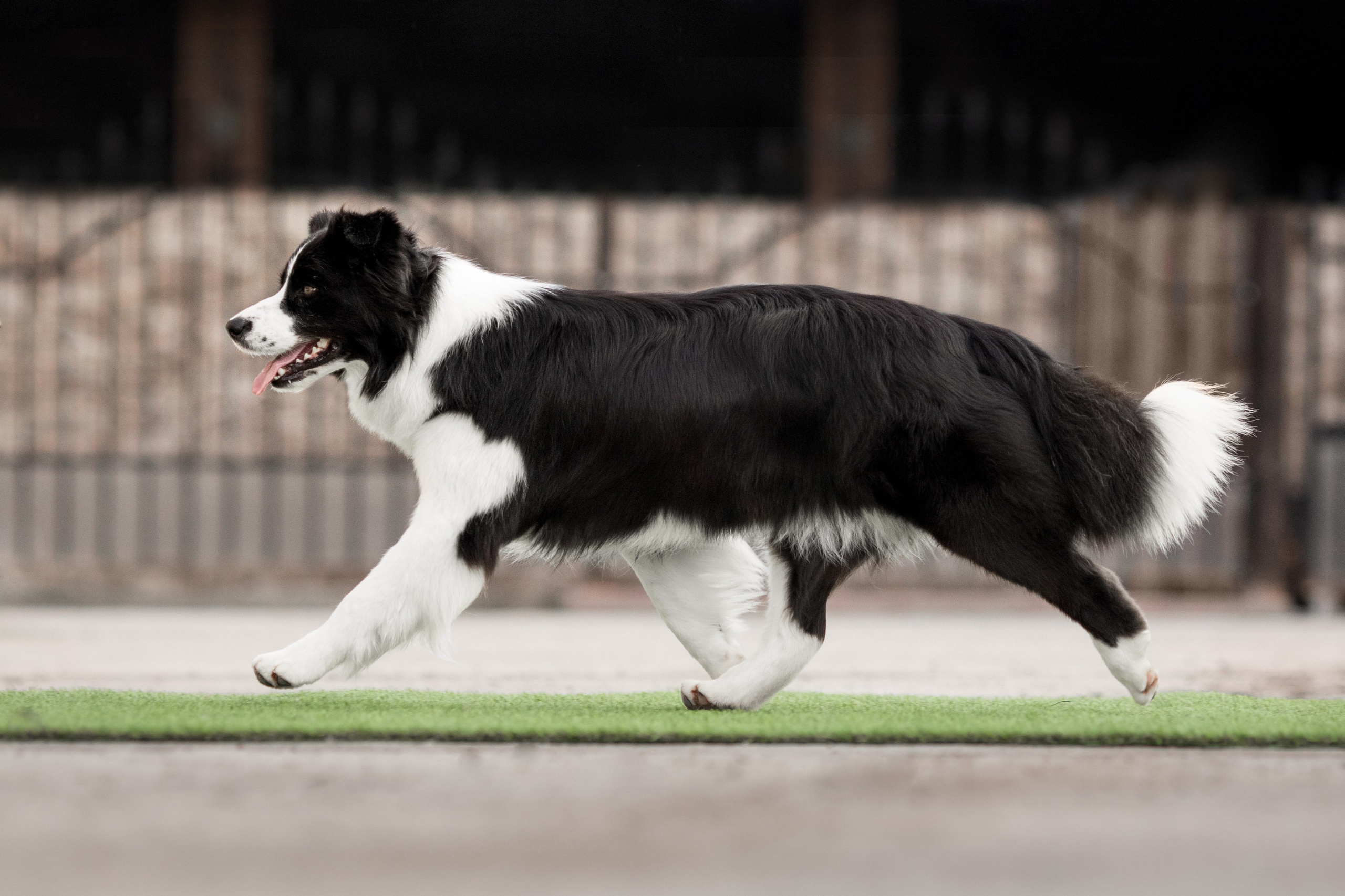 Роскошь в ростошах. О нас