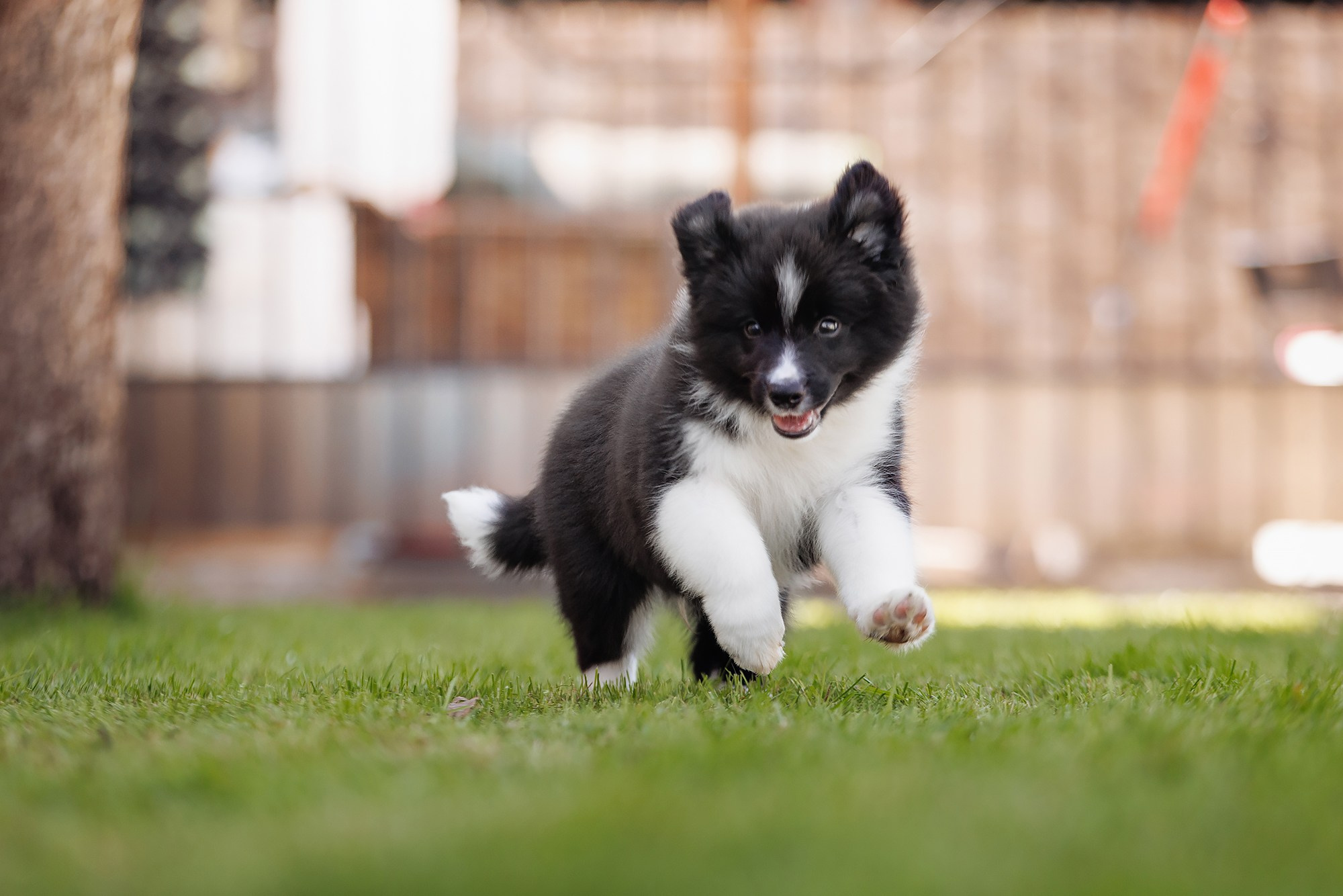 Трава у дома. О нас