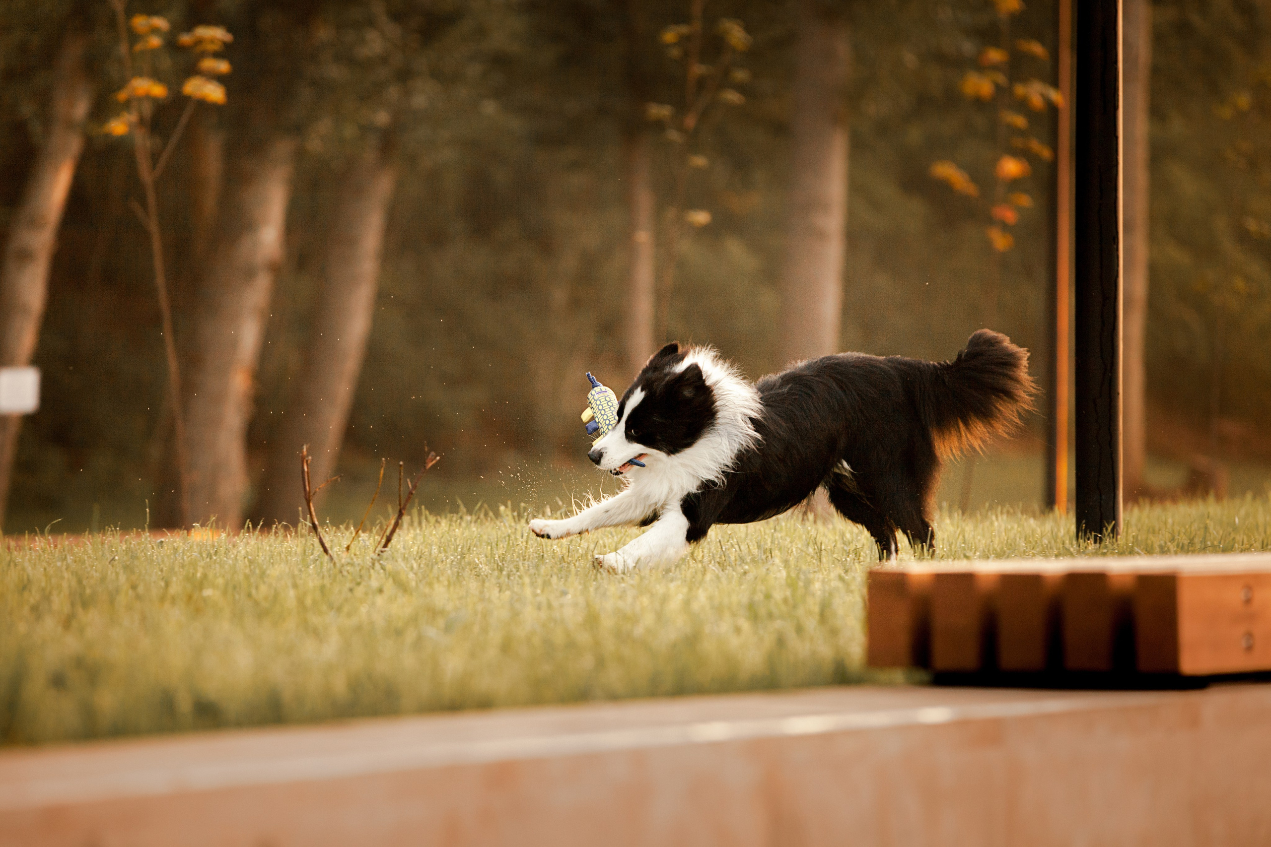 Сочный рассвет, на который решились. О нас