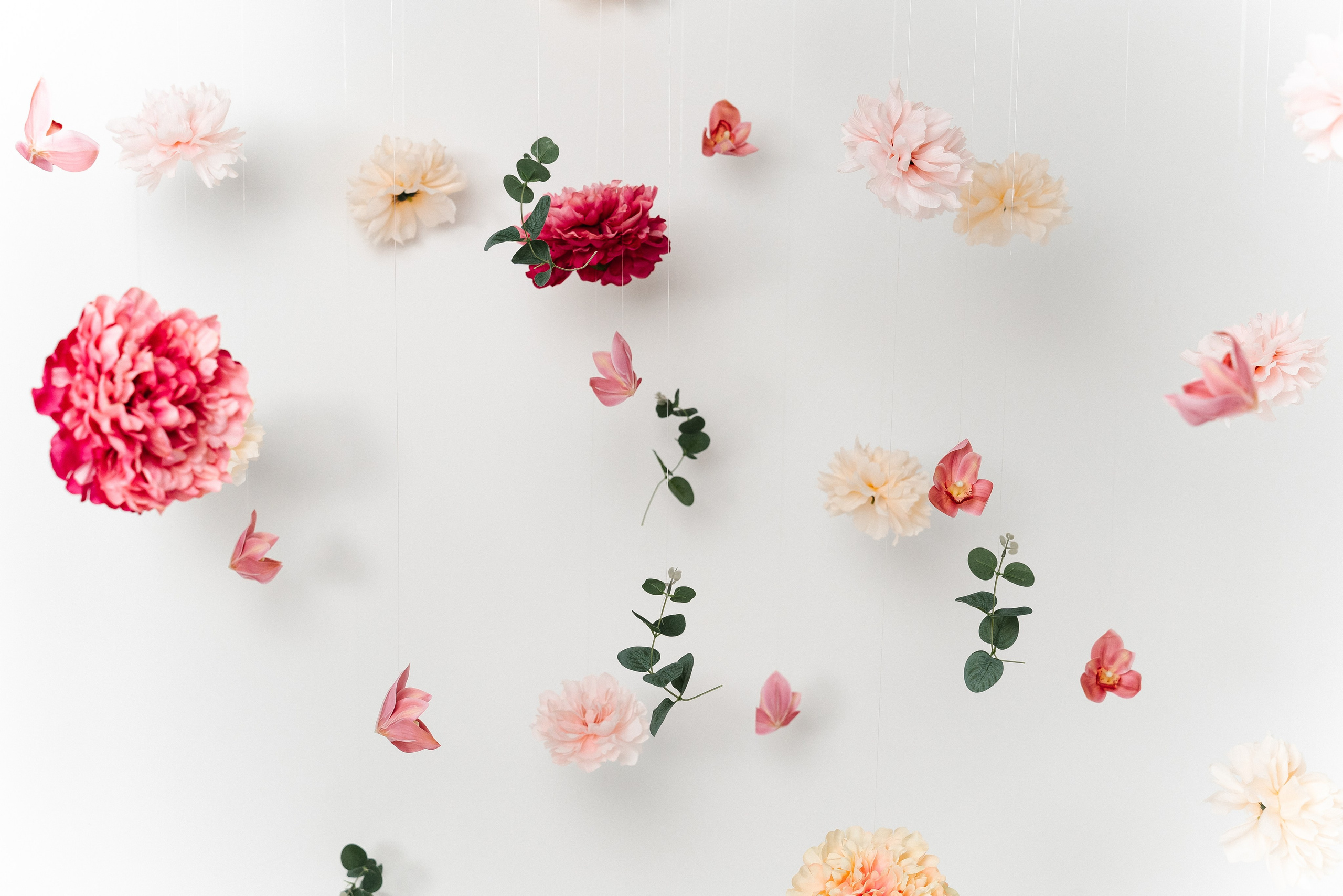 Обзор студии. «Лама» Детская фотостудия Уфа