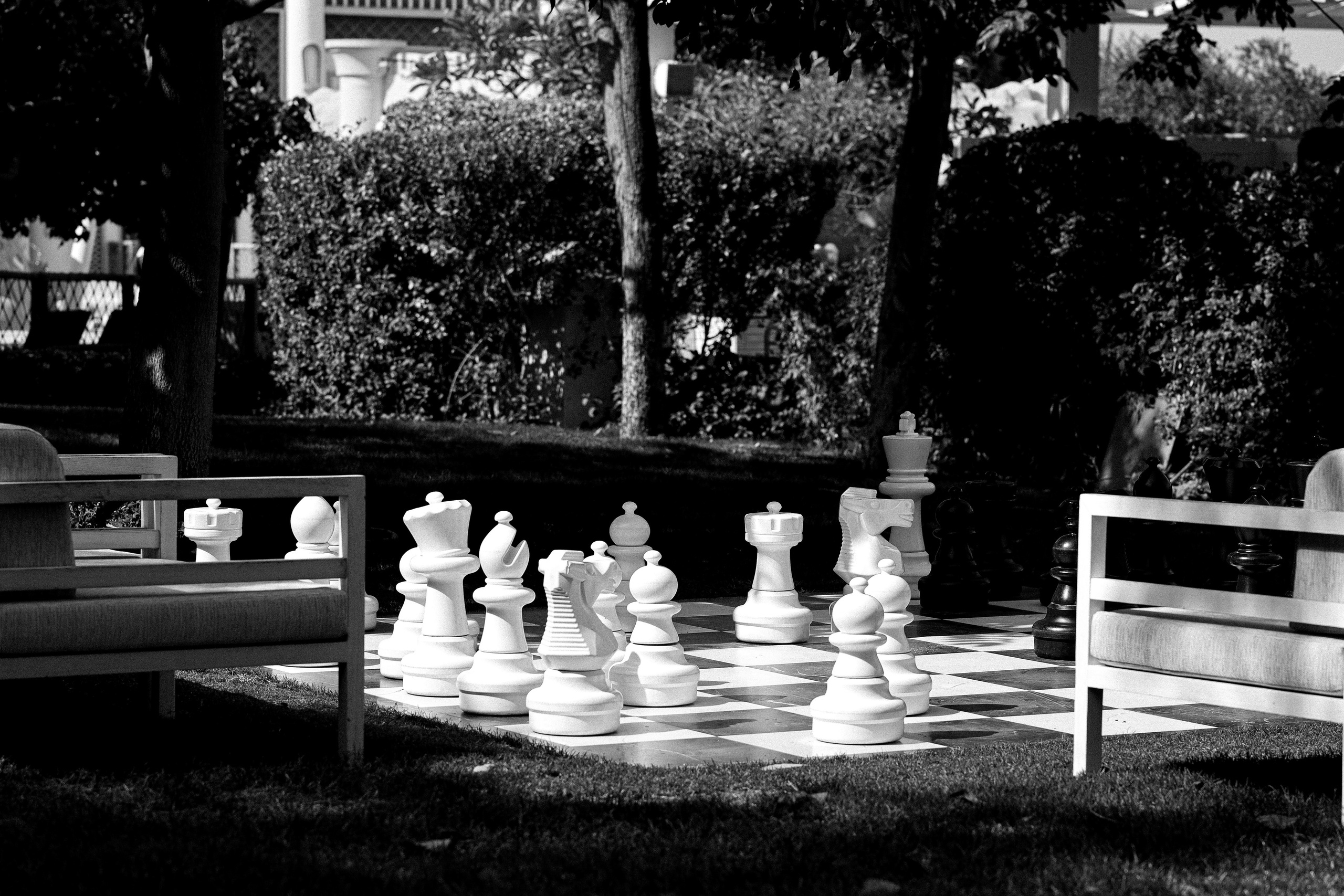 Портретный, семейный фотограф в Париже