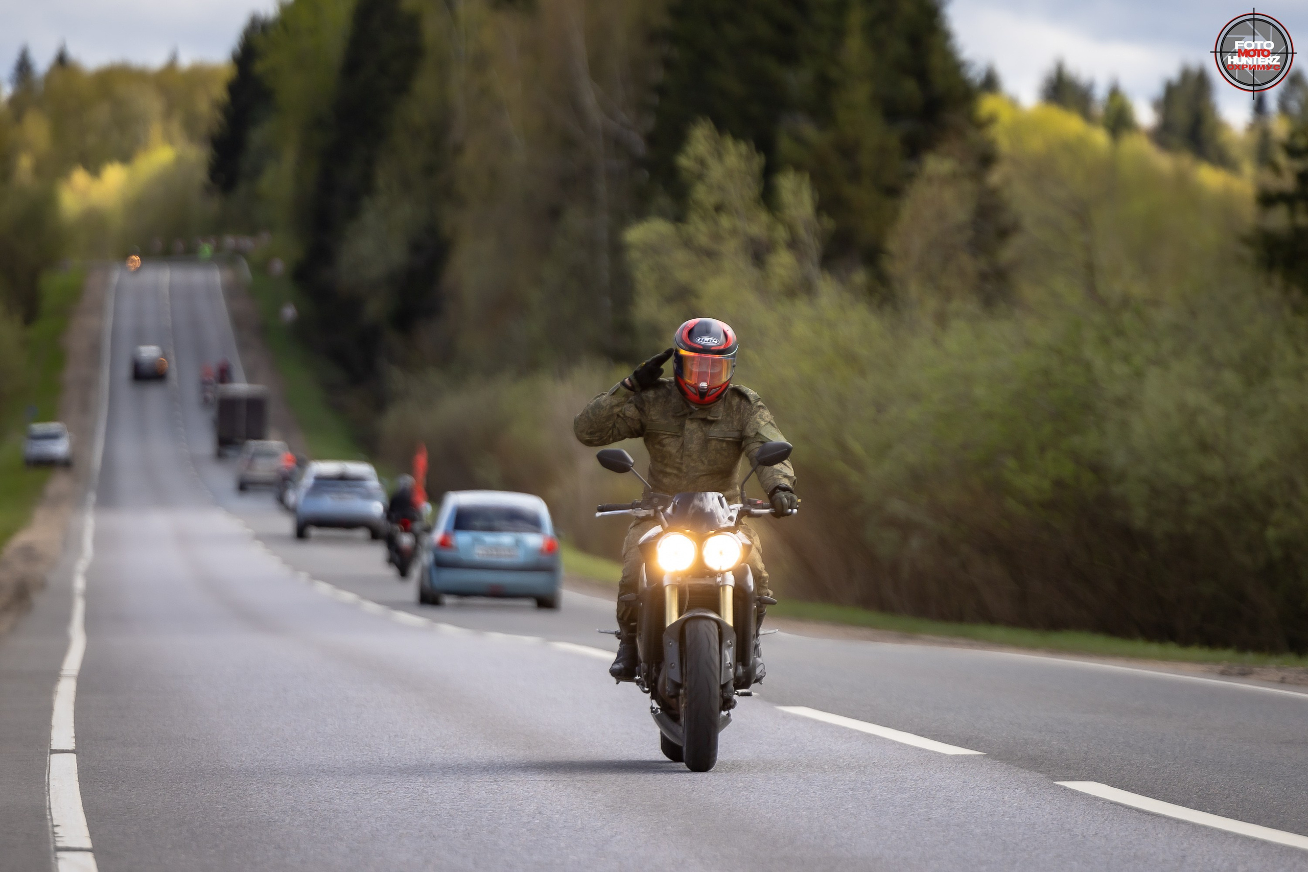 Первое Сафари в 2025 г. на Рогачевском ш. Фотограф Владимир Охрименко