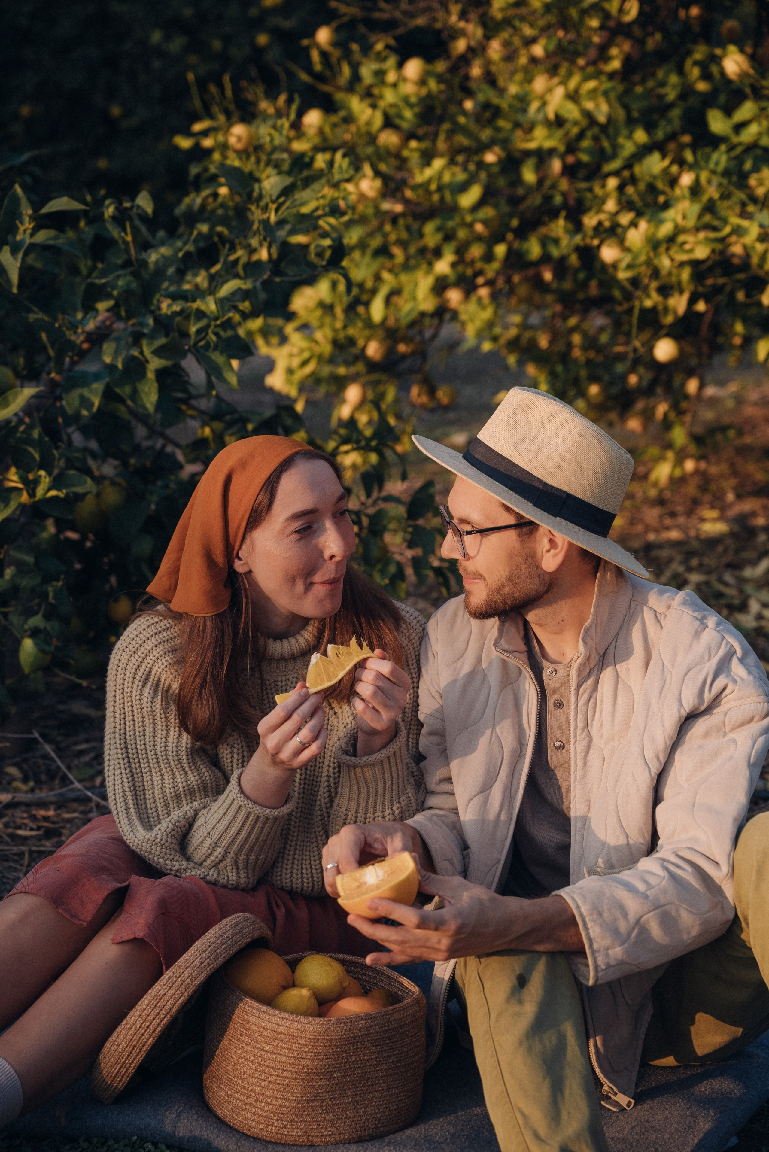 Сбор урожая. Анна Лобанова | фотограф