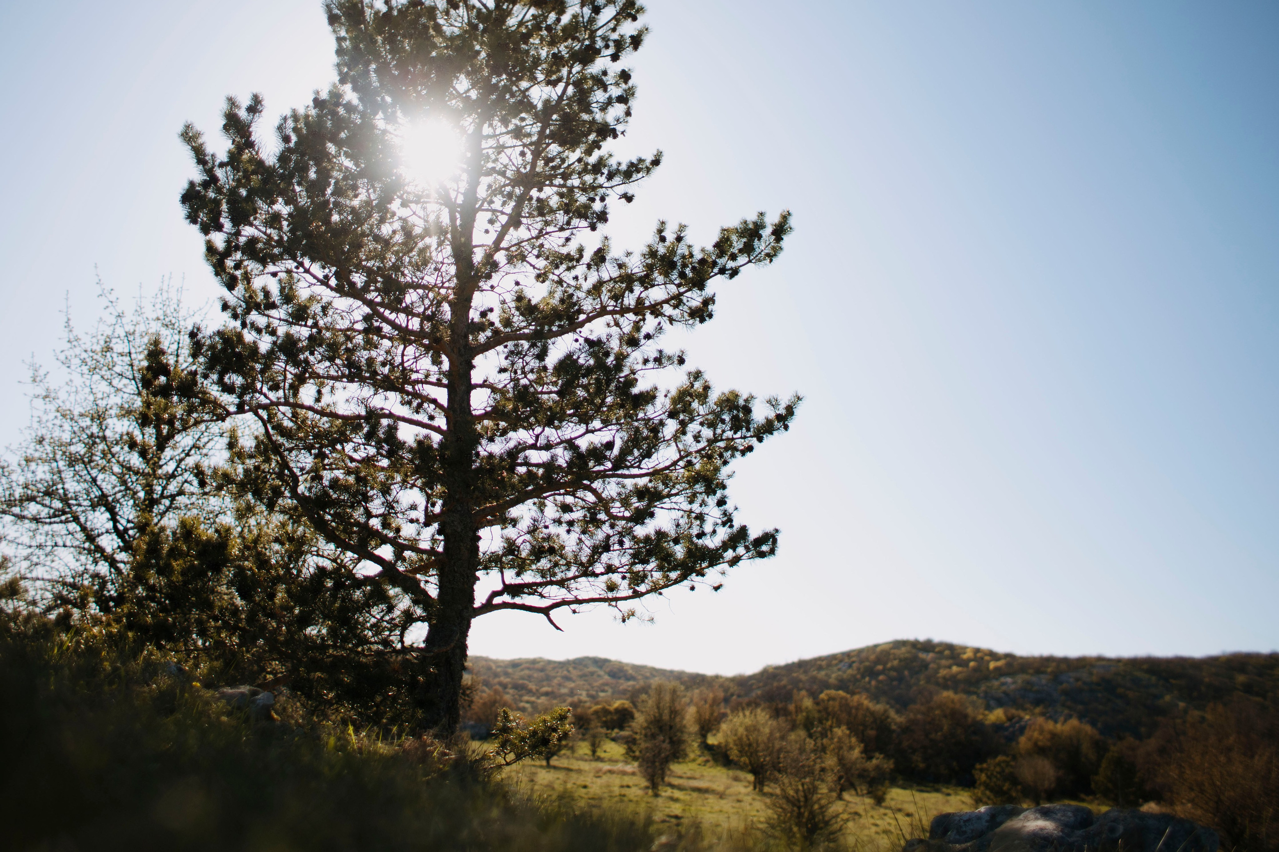 МореНебоОблака. Ваш портретный фотограф в Москве Катя Прокофьева