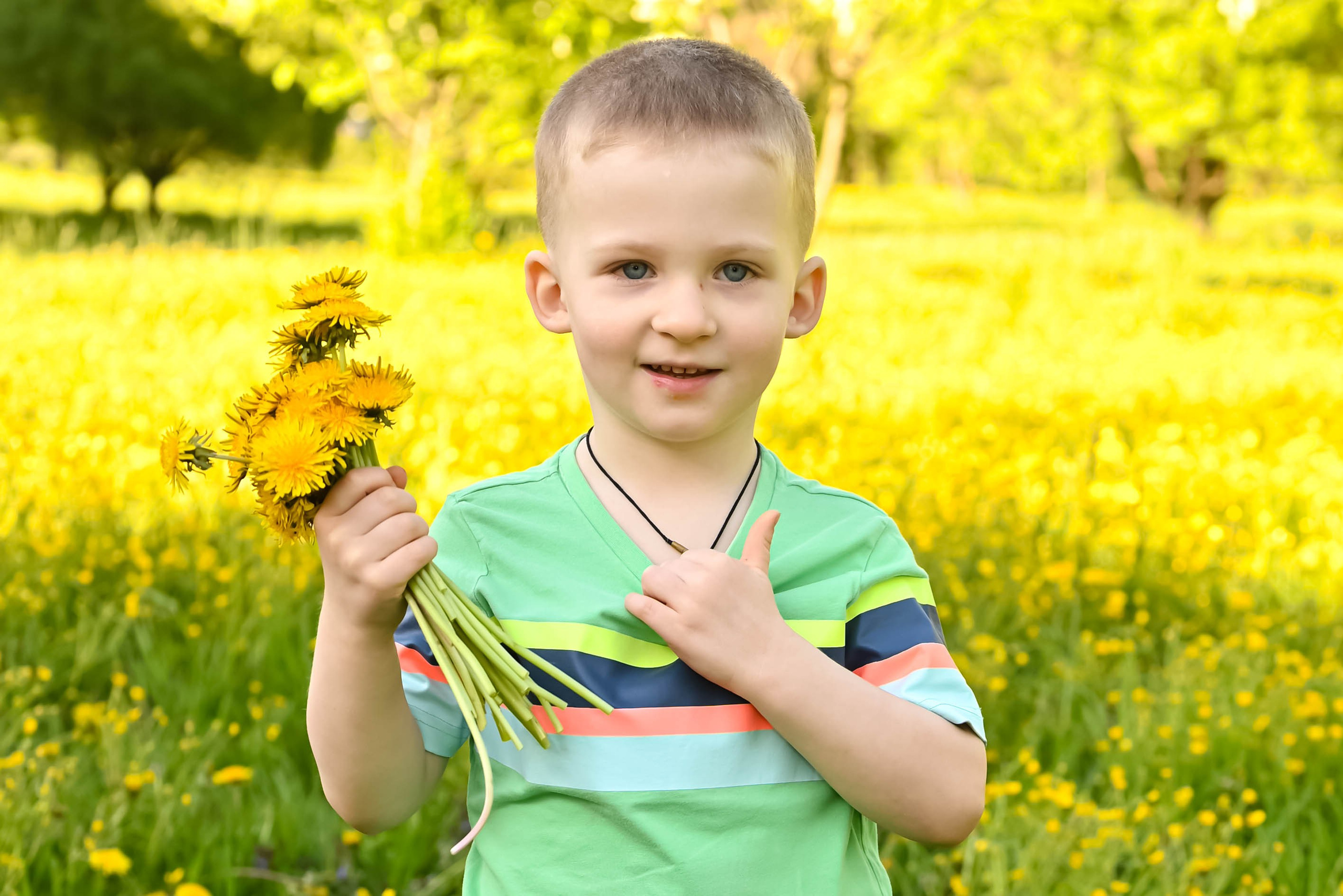 Одуванчики. Выпускные альбомы для детских садов Санкт-Петербург