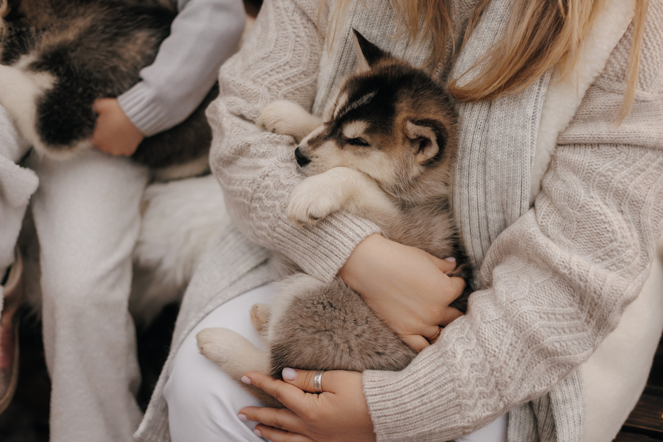Winter 2024. Свадебный и семейный фотограф Витебск, Минск, Андрей Павлов