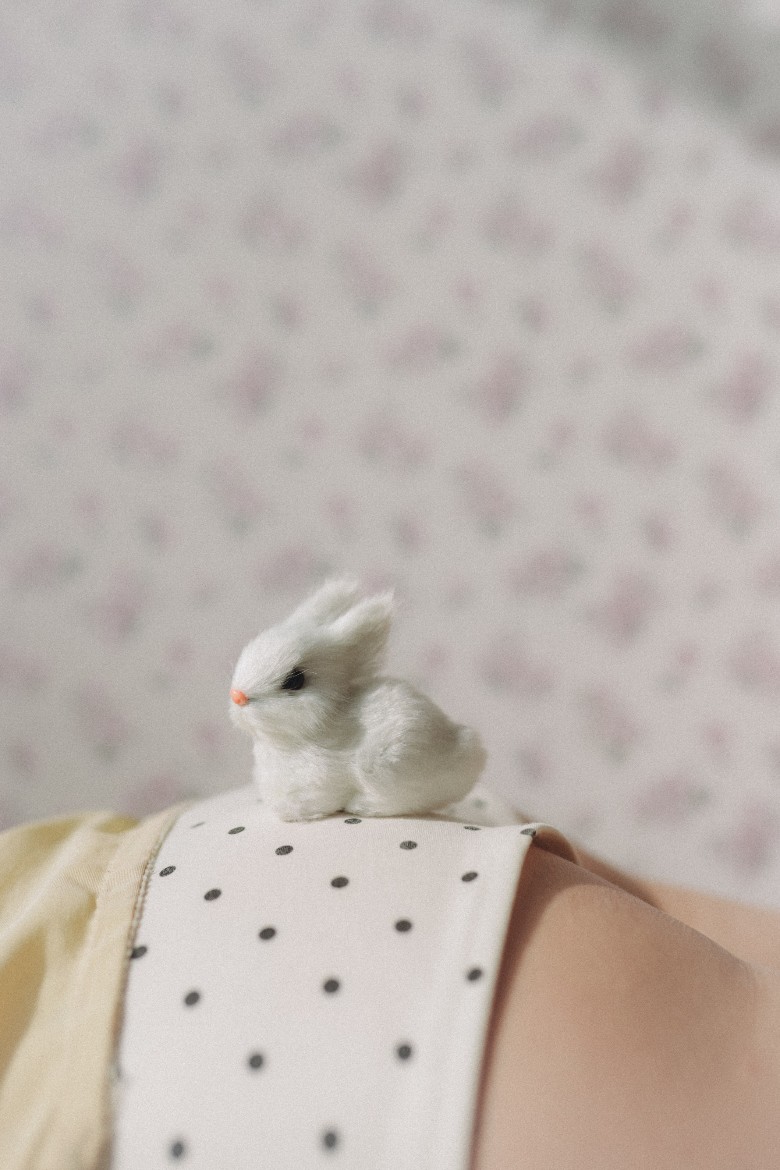 Леся. Фотограф в Нижнем Новгороде Кристина Батанова