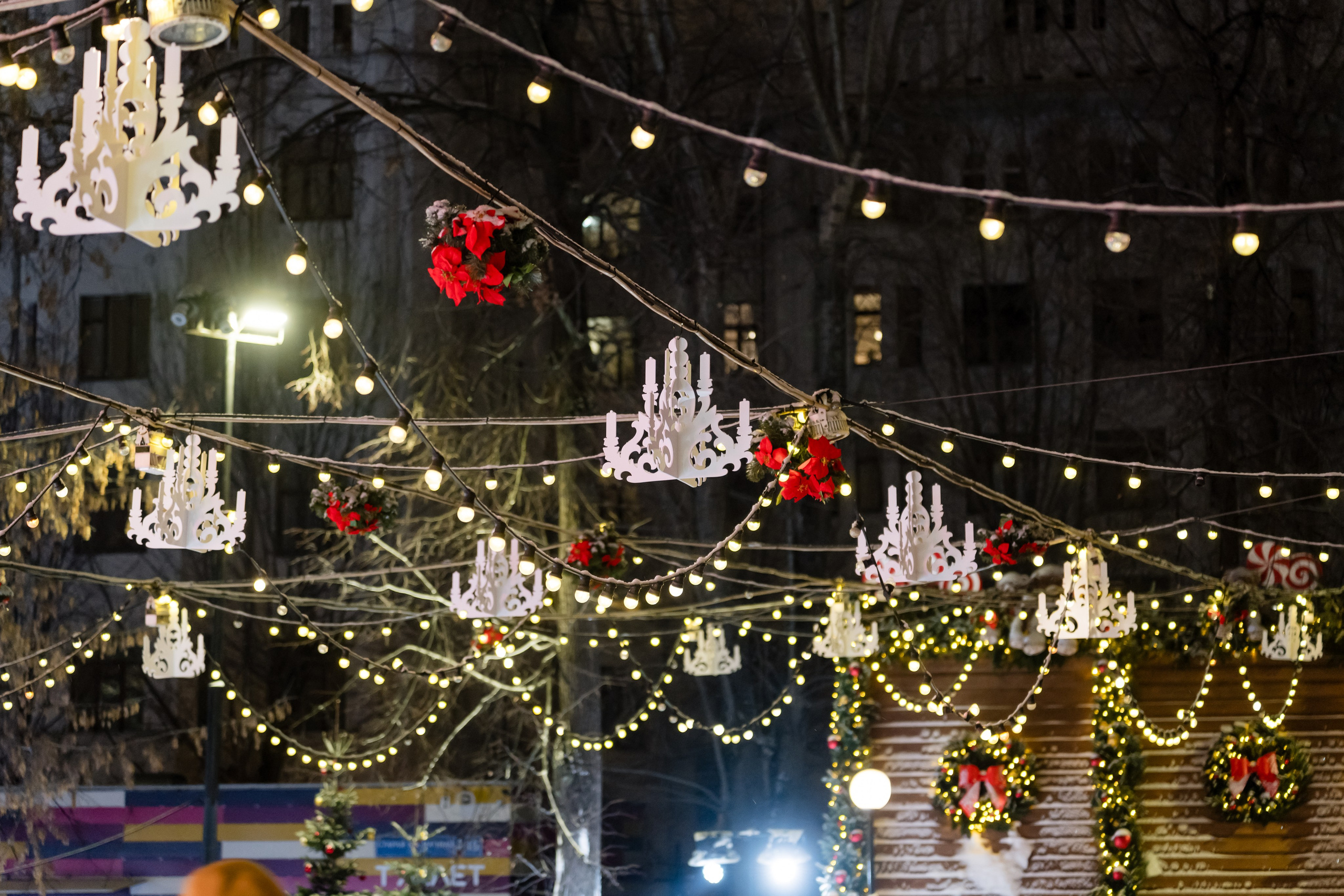 Ледяная симфония. Сад им. Баумана. 04.01.2025