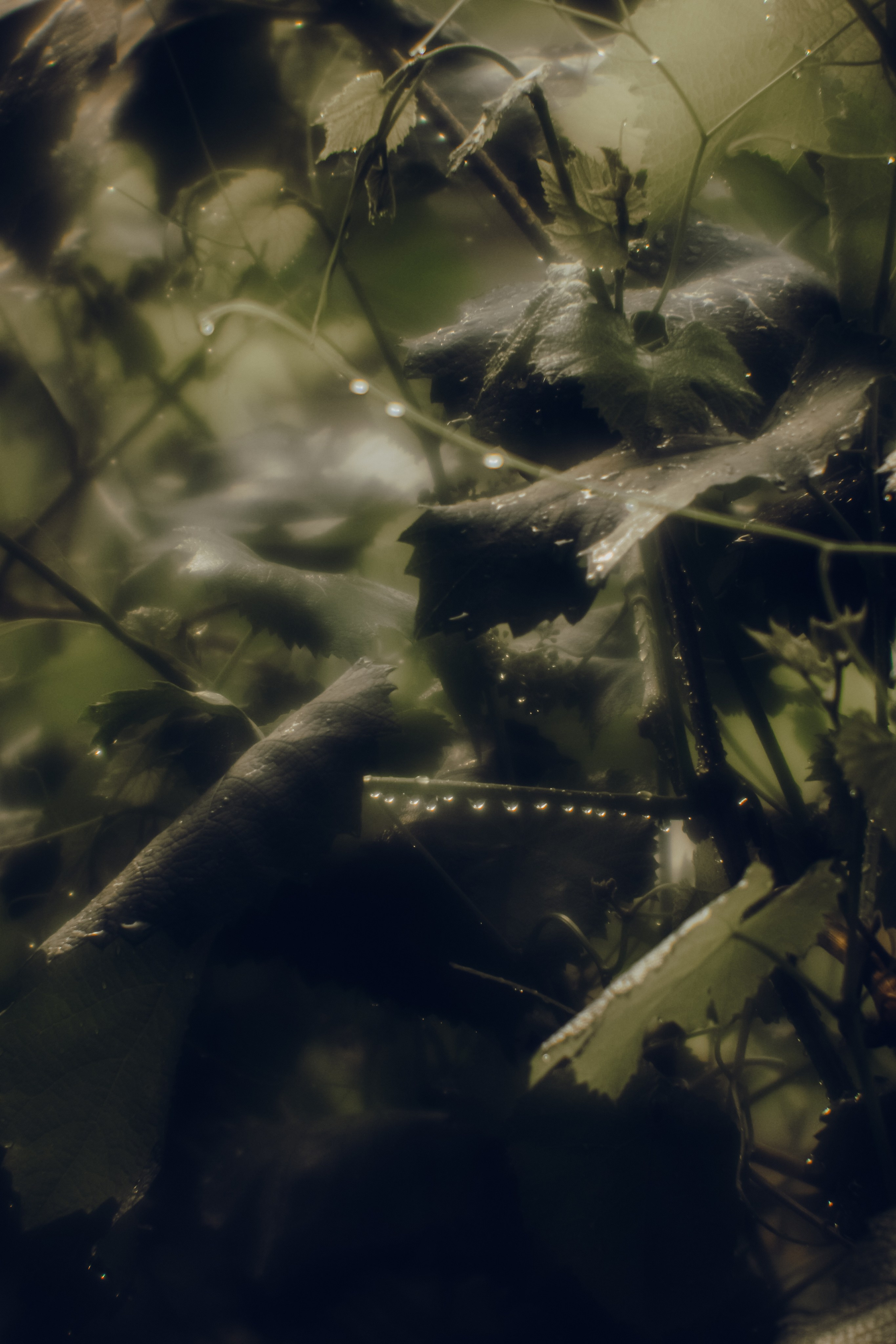 Пикториальный альбом. Семейный LIFESTYLE фотограф в Москве