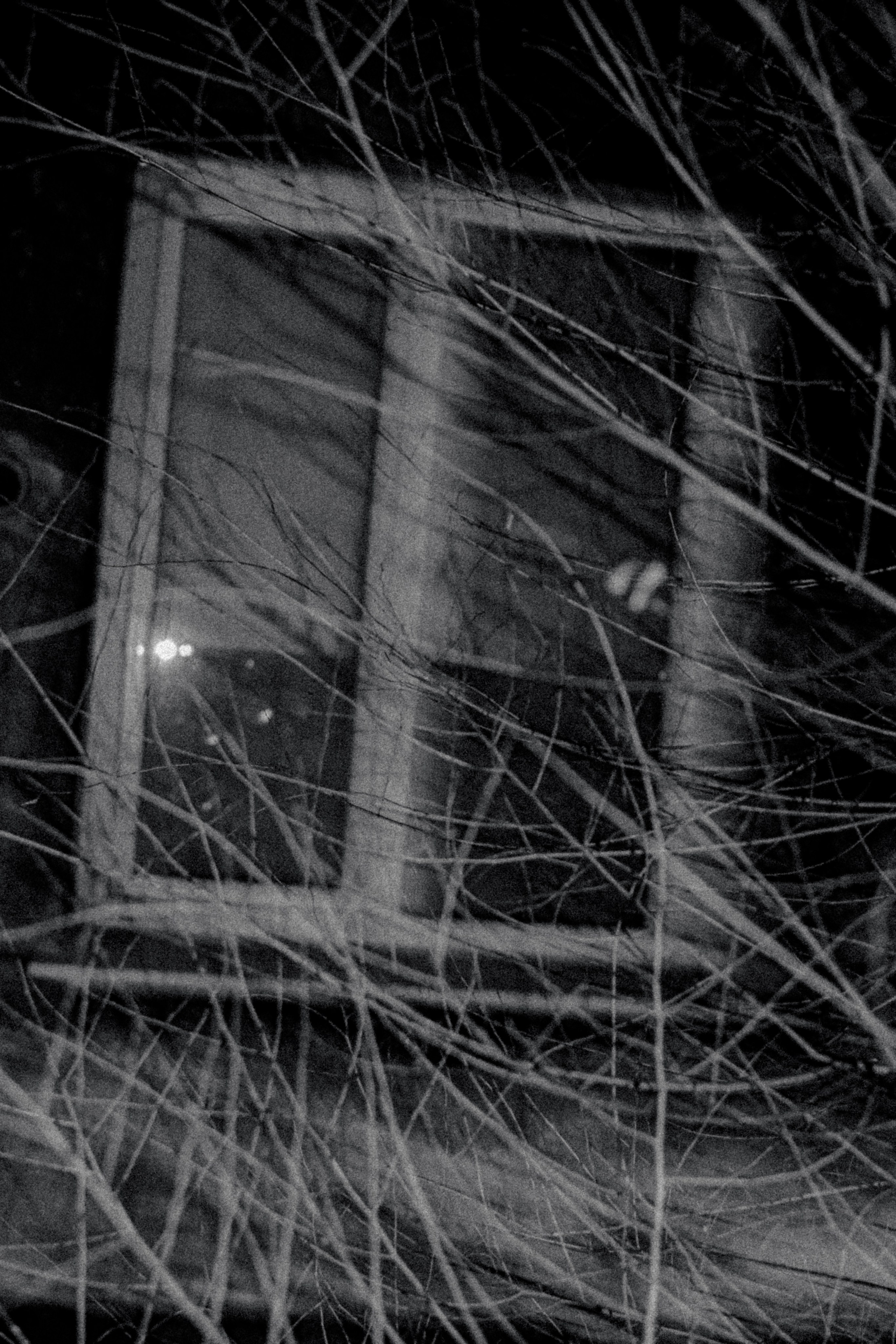 Город Н. Предание о руинах: АРХИВ ПУСТОТЫ