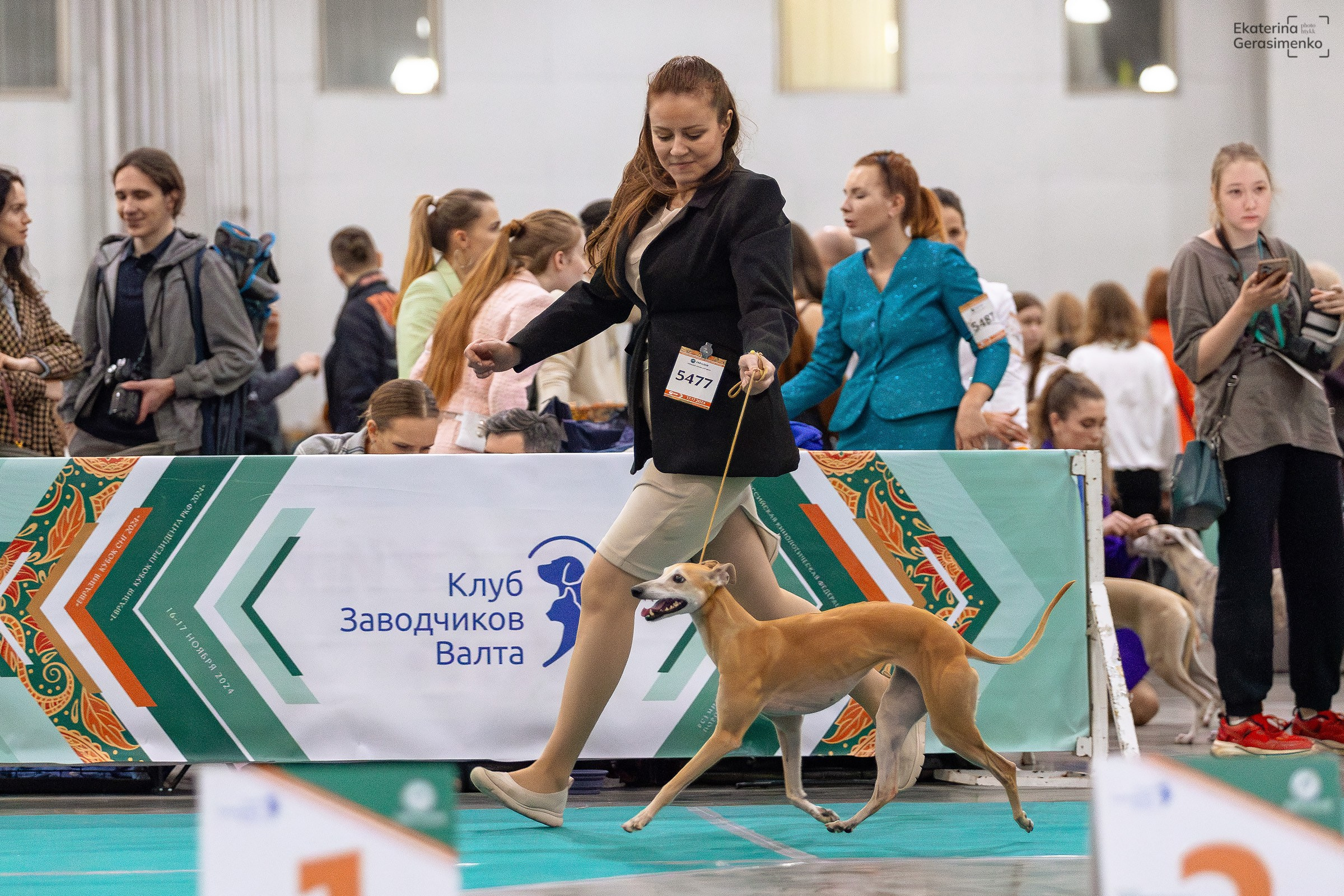 16–17 ноября 2024, Выставка ЕВРАЗИЯ, г. Москва. Htykk_photo
