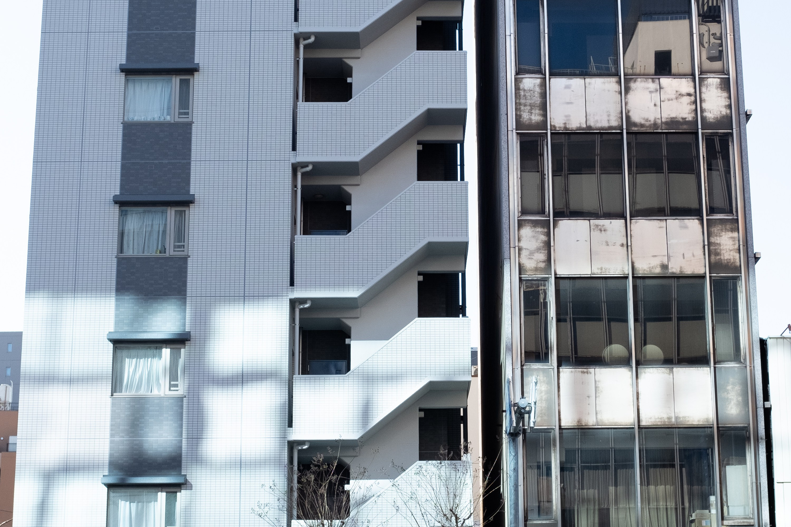 Tokyo. Regina Platonova