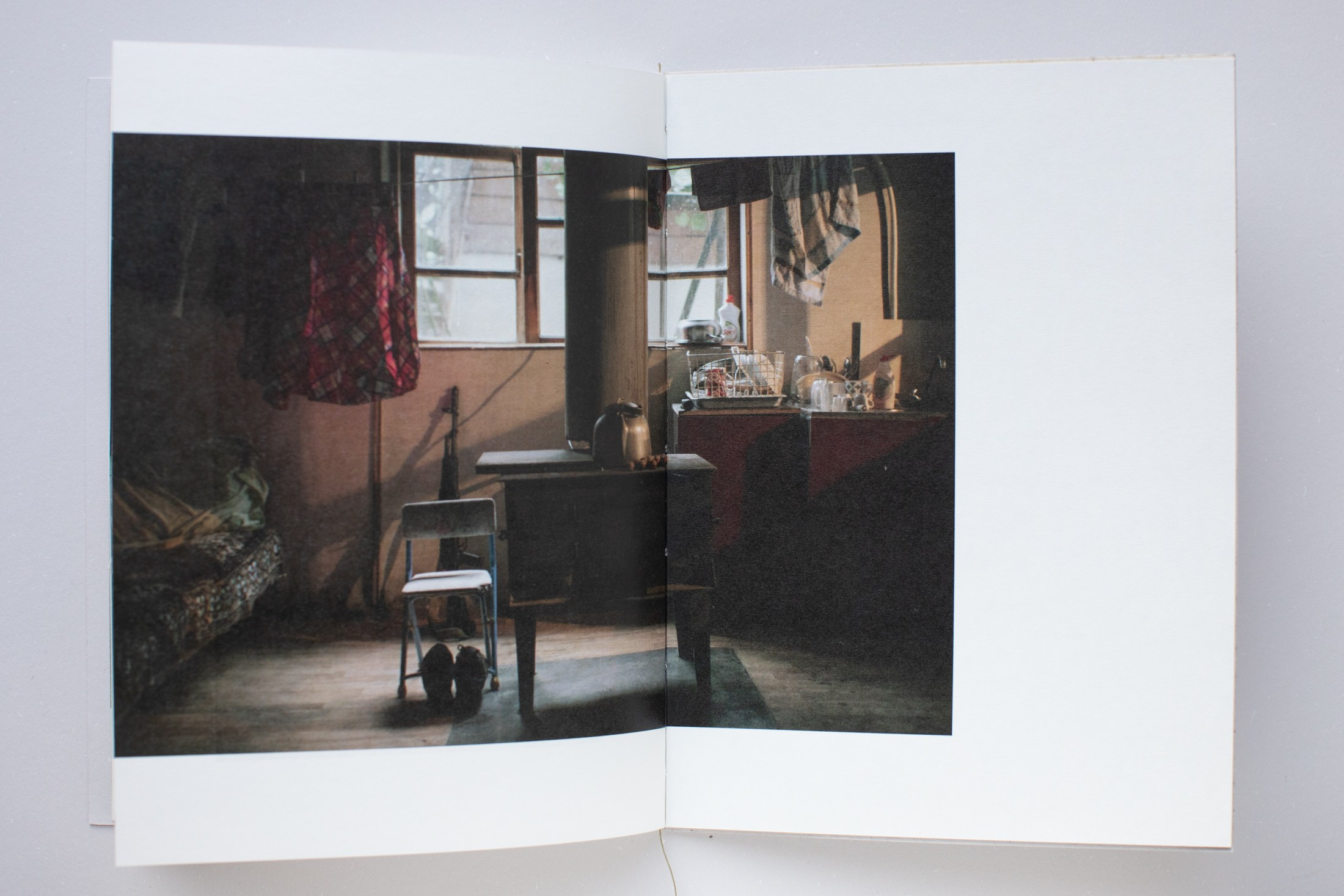 Зин «Про деревья, насекомых и людей». Natalya Madilyan