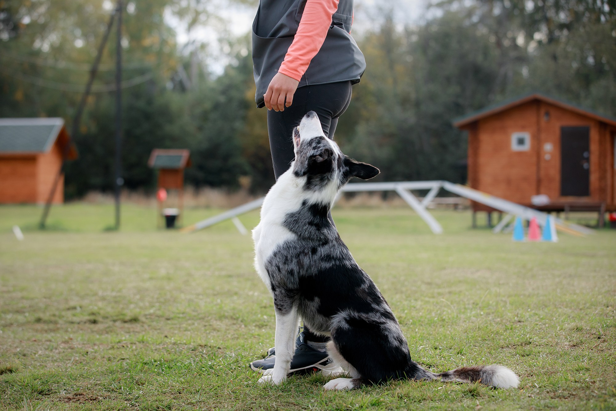 Лагерь по ОБД с Инной Баженовой. Фотограф-анималист Mary Mart — Москва, Питер