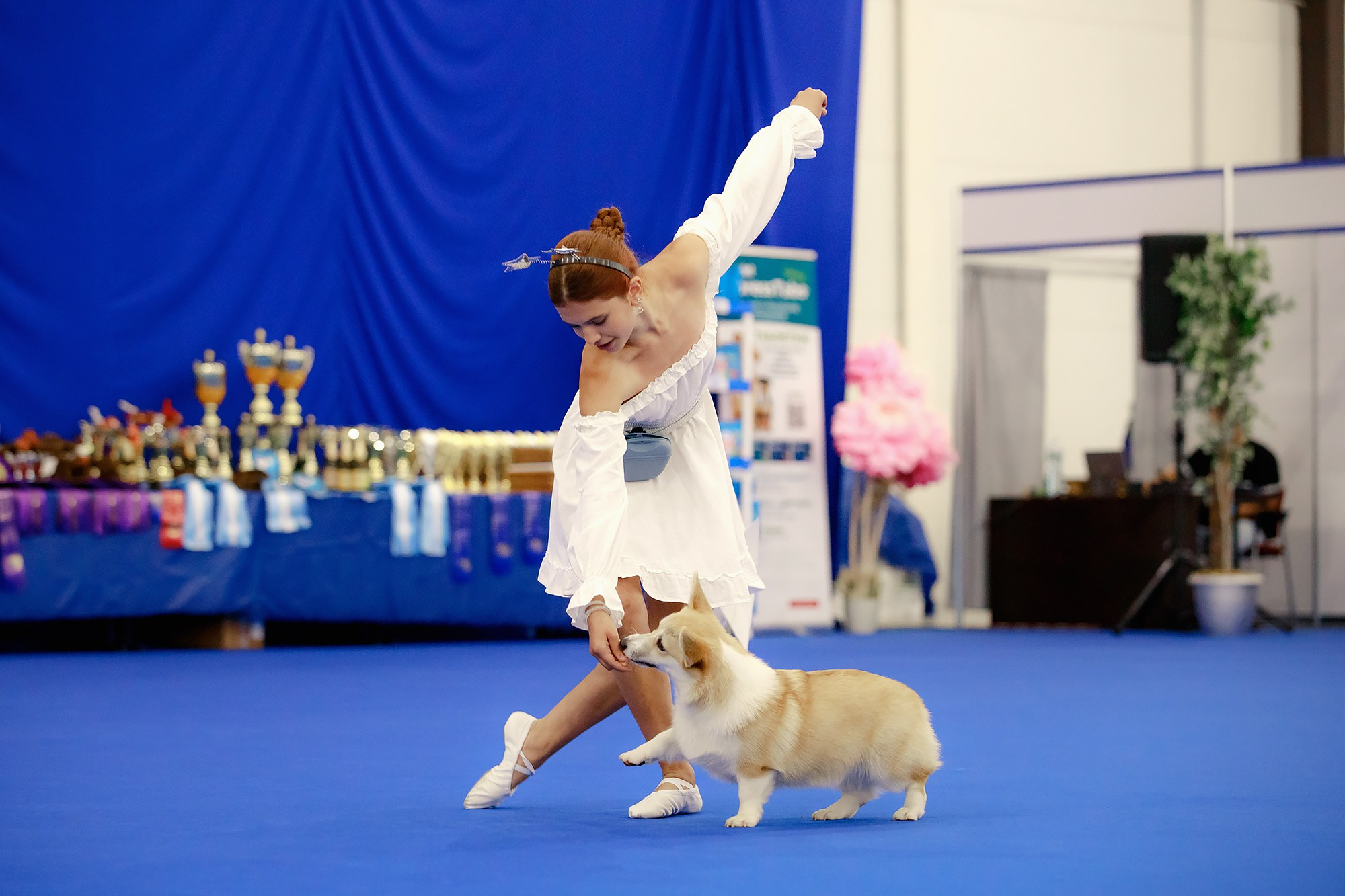 Танцы на выставке «Зоошоу», СПб. Фотограф-анималист Mary Mart — Москва, Питер