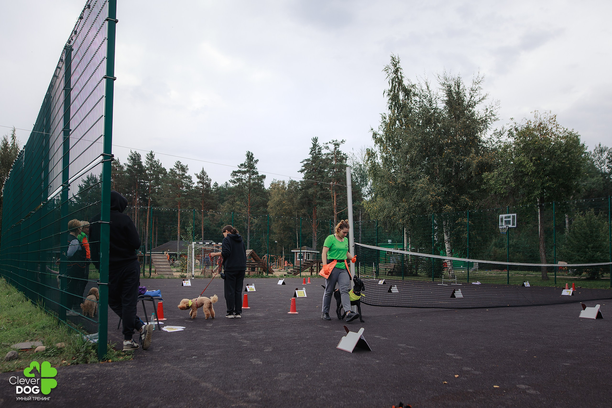 Кинологический лагерь CleverDog, 2024. Фотограф-анималист Mary Mart — Москва, Питер