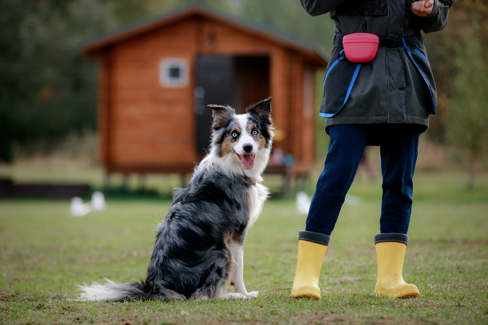 Лагерь по ОБД с Инной Баженовой. Фотограф-анималист Mary Mart — Москва, Питер