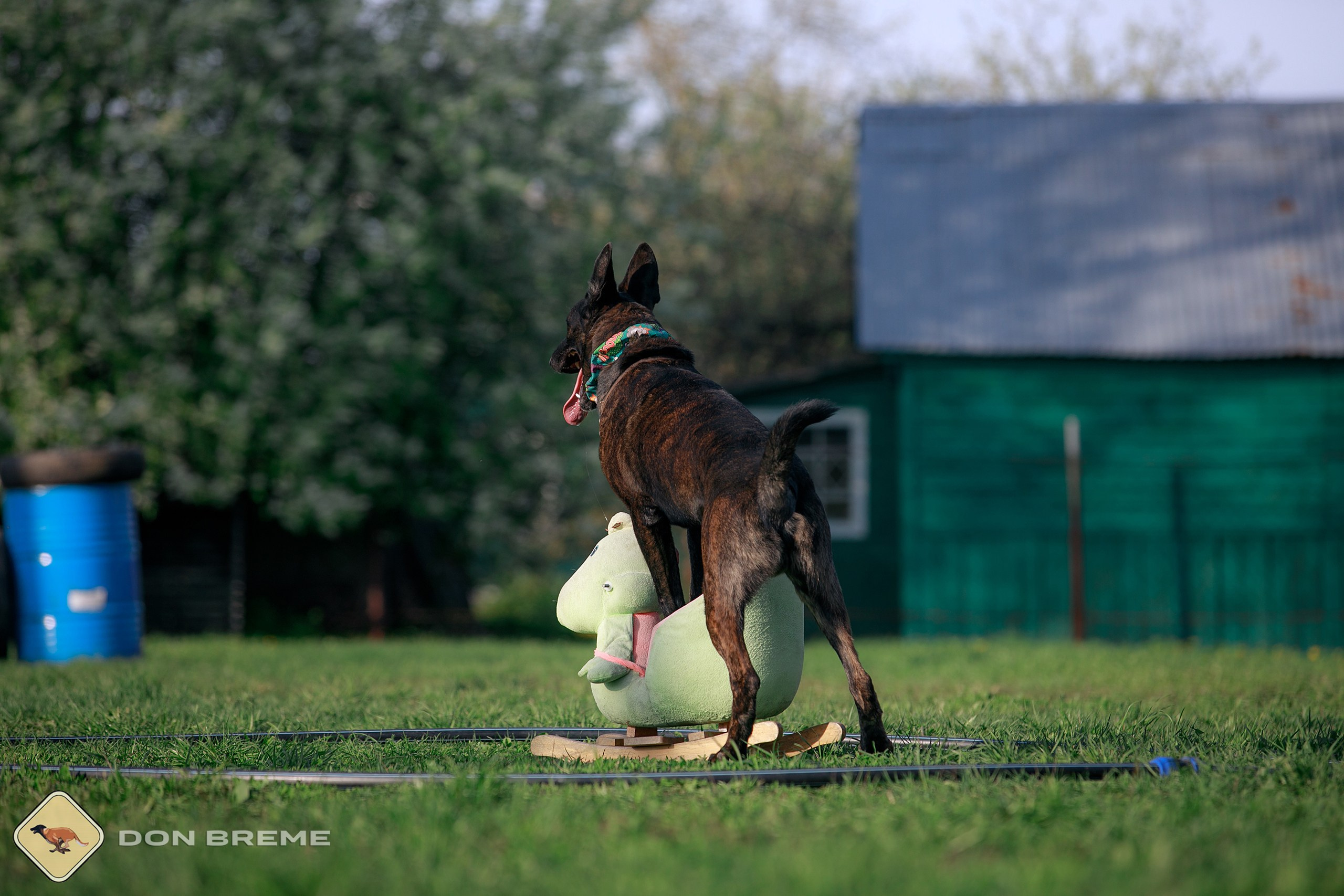Семинар для фигурантов, день 4. Фотограф-анималист Mary Mart — Москва, Питер