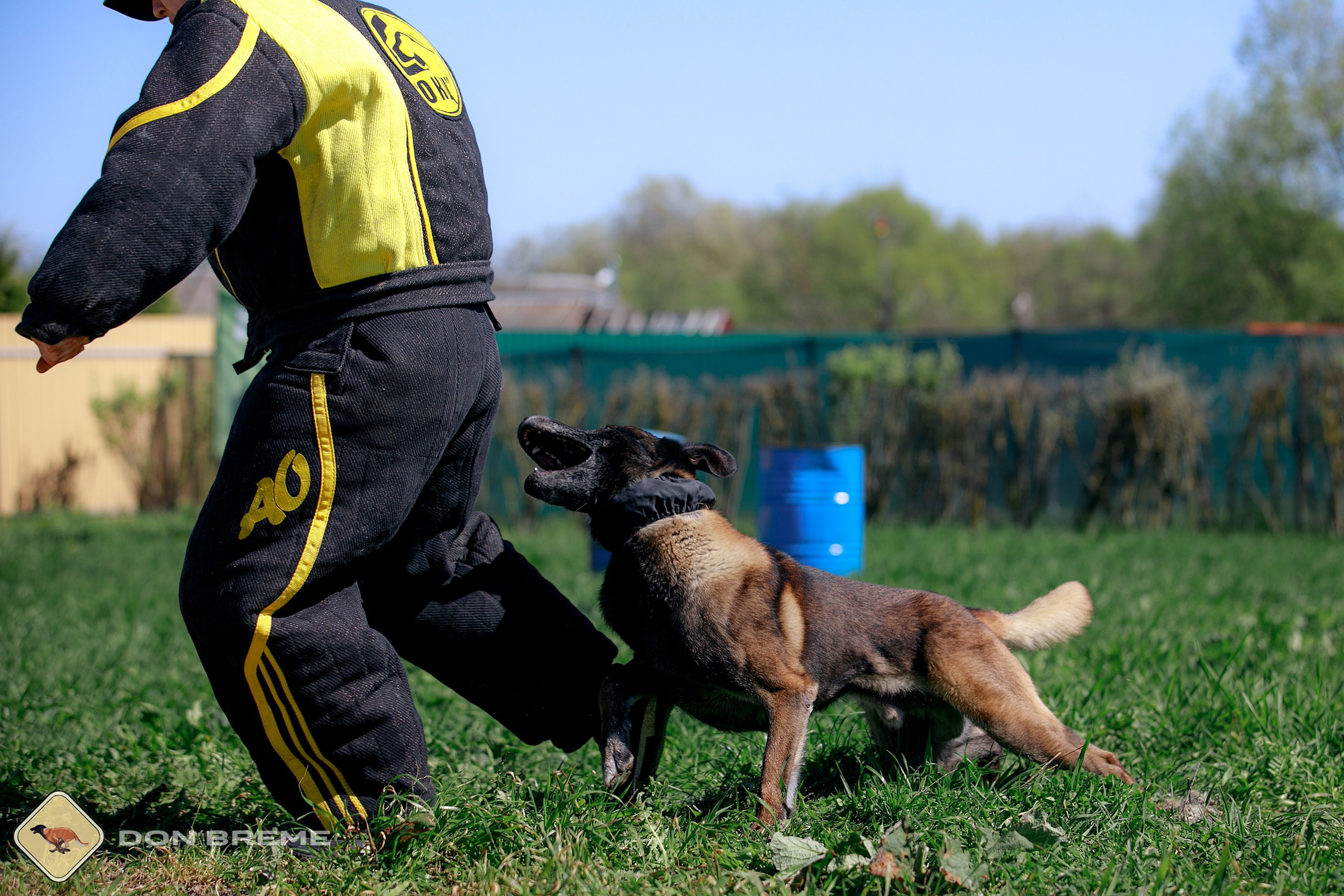 Семинар для фигурантов, день 3. Фотограф-анималист Mary Mart — Москва, Питер