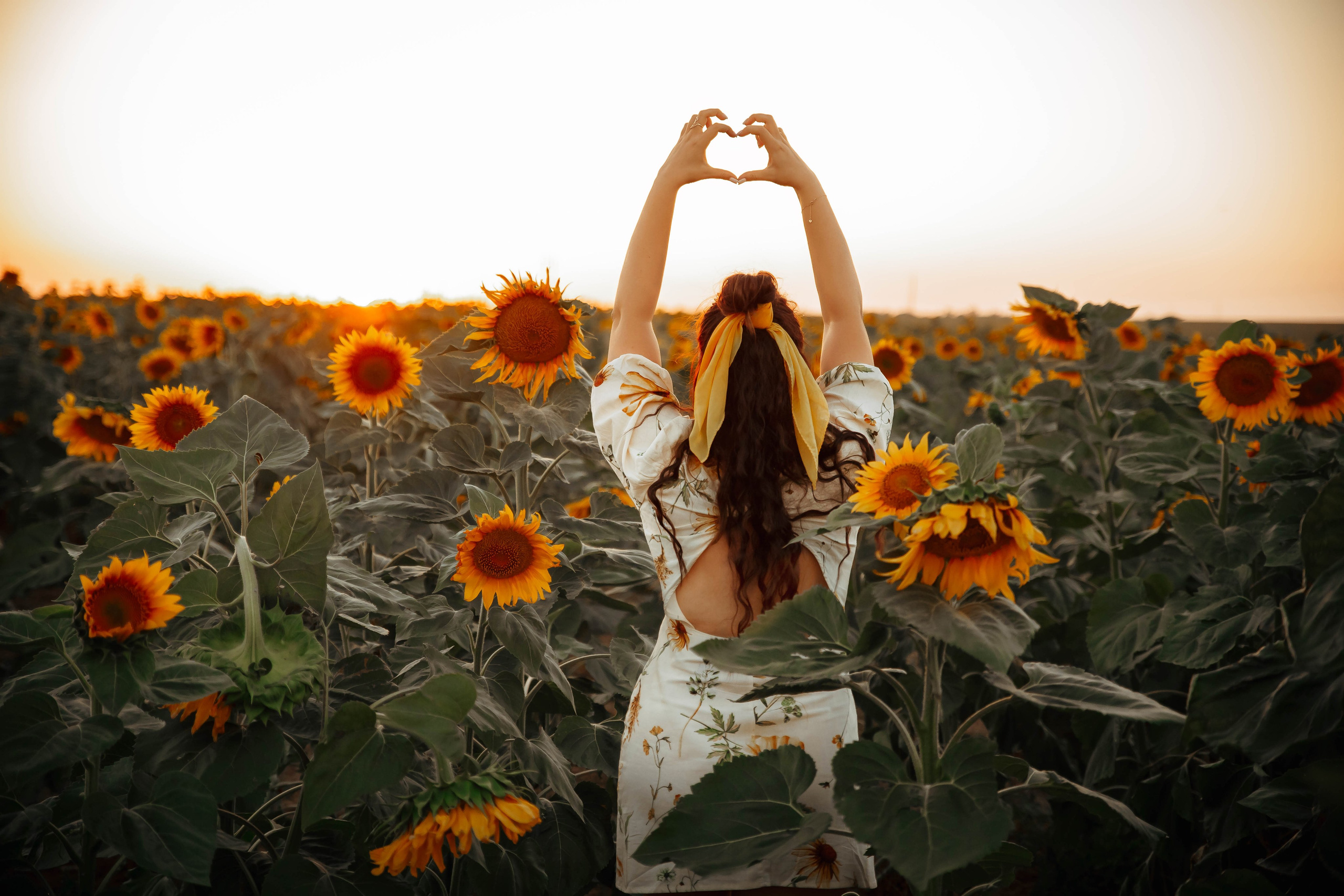 Фотосессия в цветущих полях. Фотограф в Феодосии Наталья Булгакова
